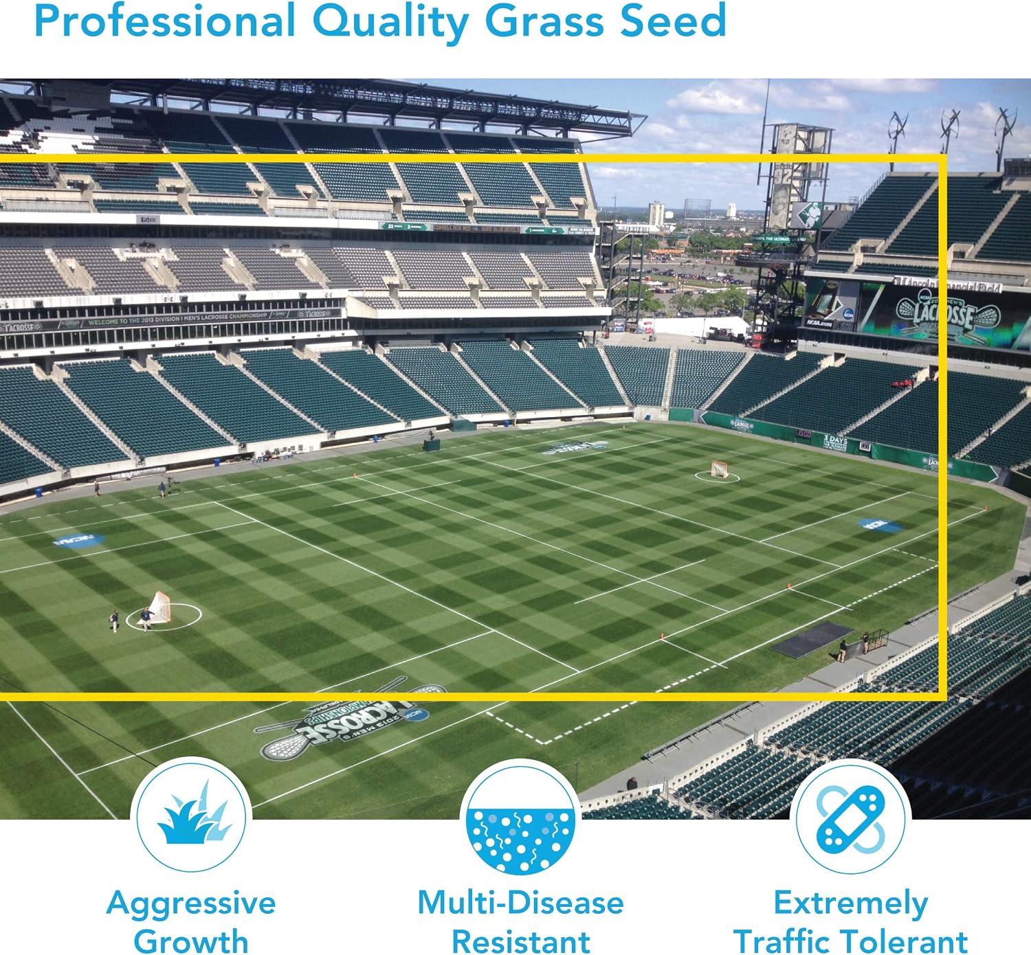 Barenbrug Turf Blue Healthy Grass Technology Grass Seed with Yellow Jacket Coating - Heavy Traffic Seed for Use on Sports Fields, Golf Courses, Parks