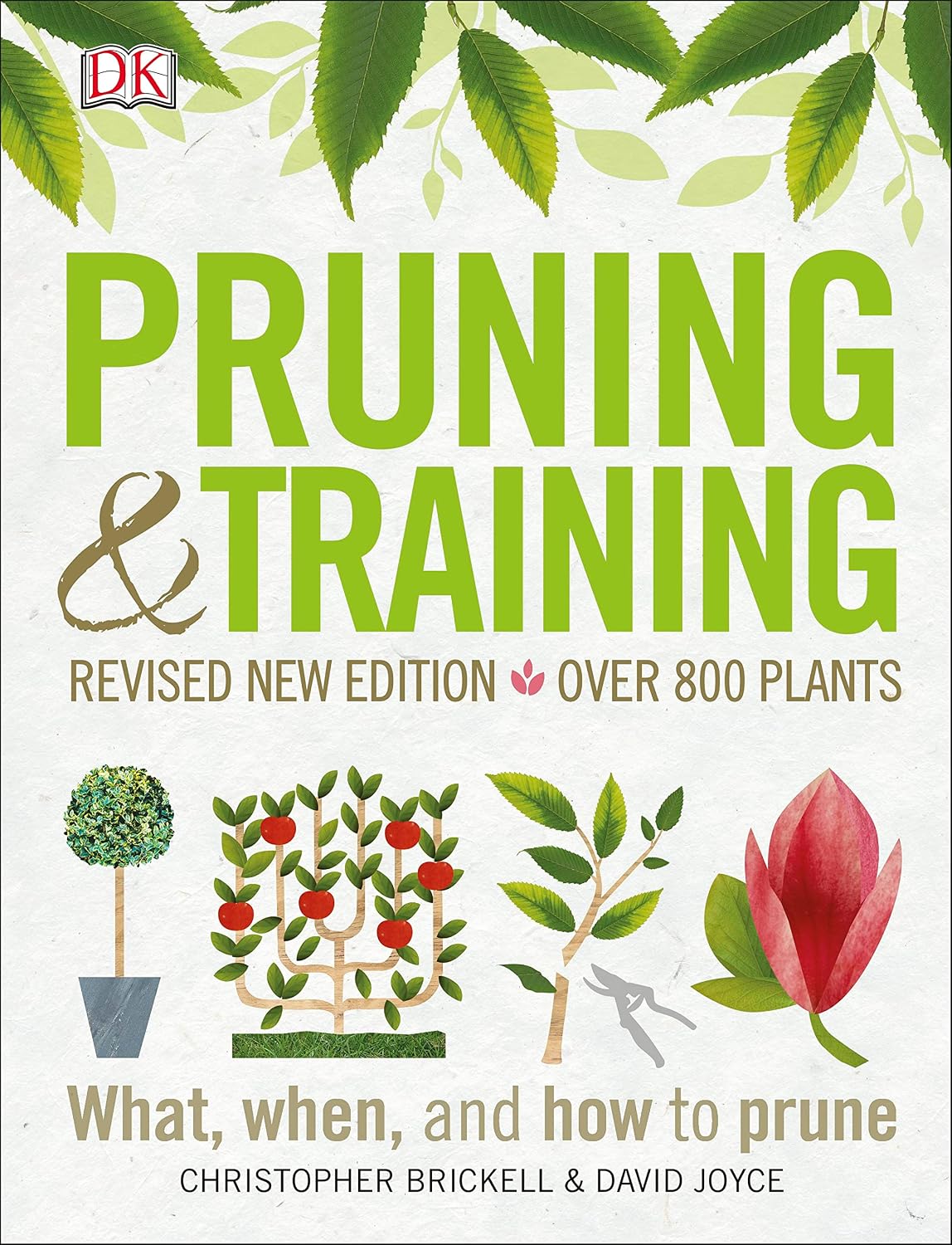 Pruning and Training, Revised New Edition: What, When, and How to Prune