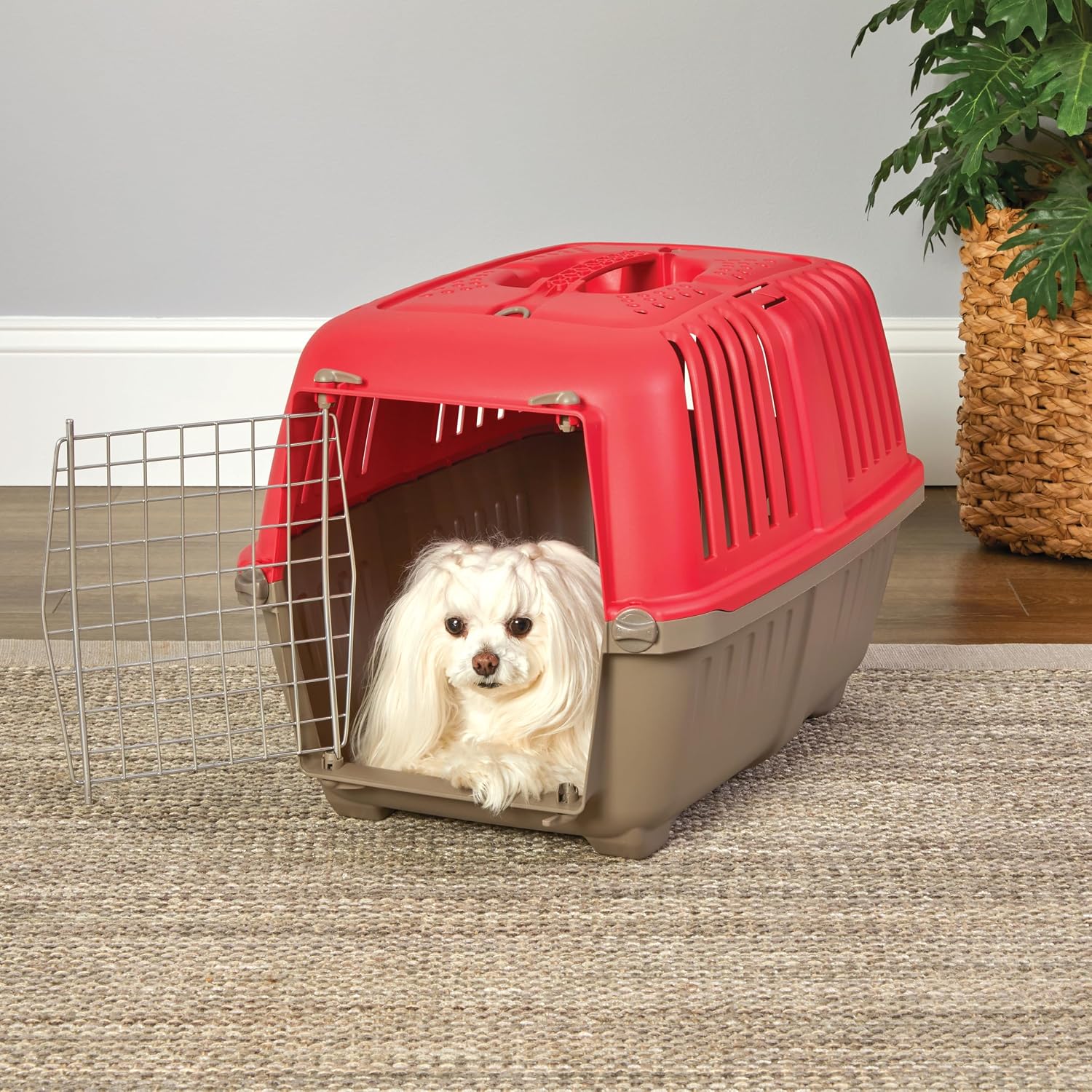 Spree by MidWest 19-Inch Travel Carrier, Blue, Fits Pets up to 10 lbs | Hard-Sided Pet Carrier, Steel Door, Ventilated Design, Locking Tabs, Easy Assembly