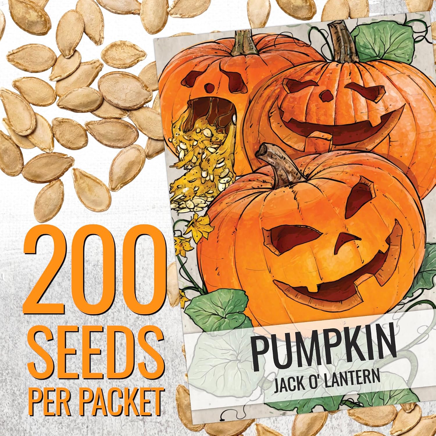 Seed Needs Pumpkin Seeds to Plant 100 Seeds Spooky Mix Non GMO Bulk Pack
