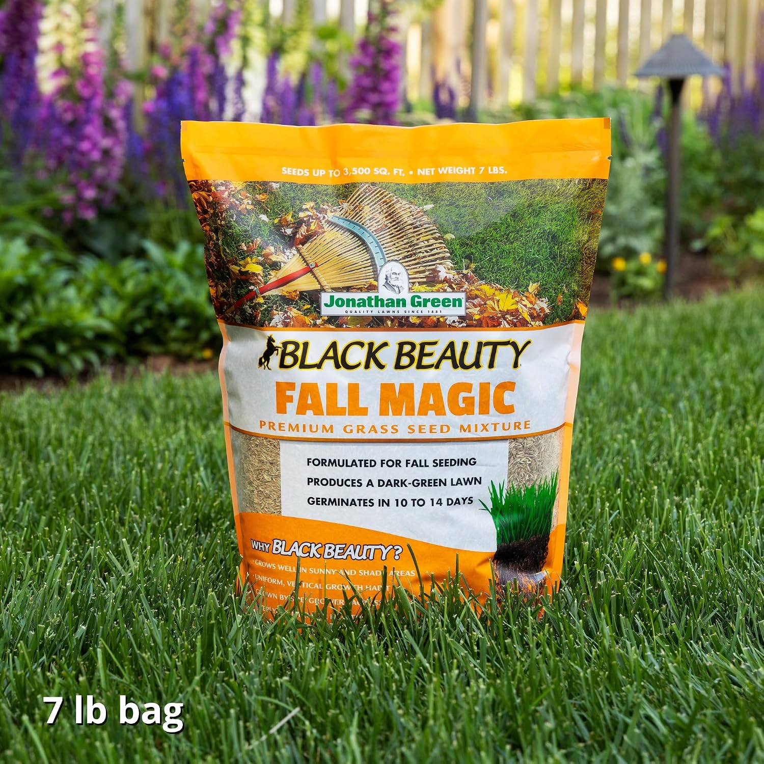 Jonathan Green (10765) Black Beauty Fall Magic Grass Seed - Cool Season Lawn Seed (3 lb)