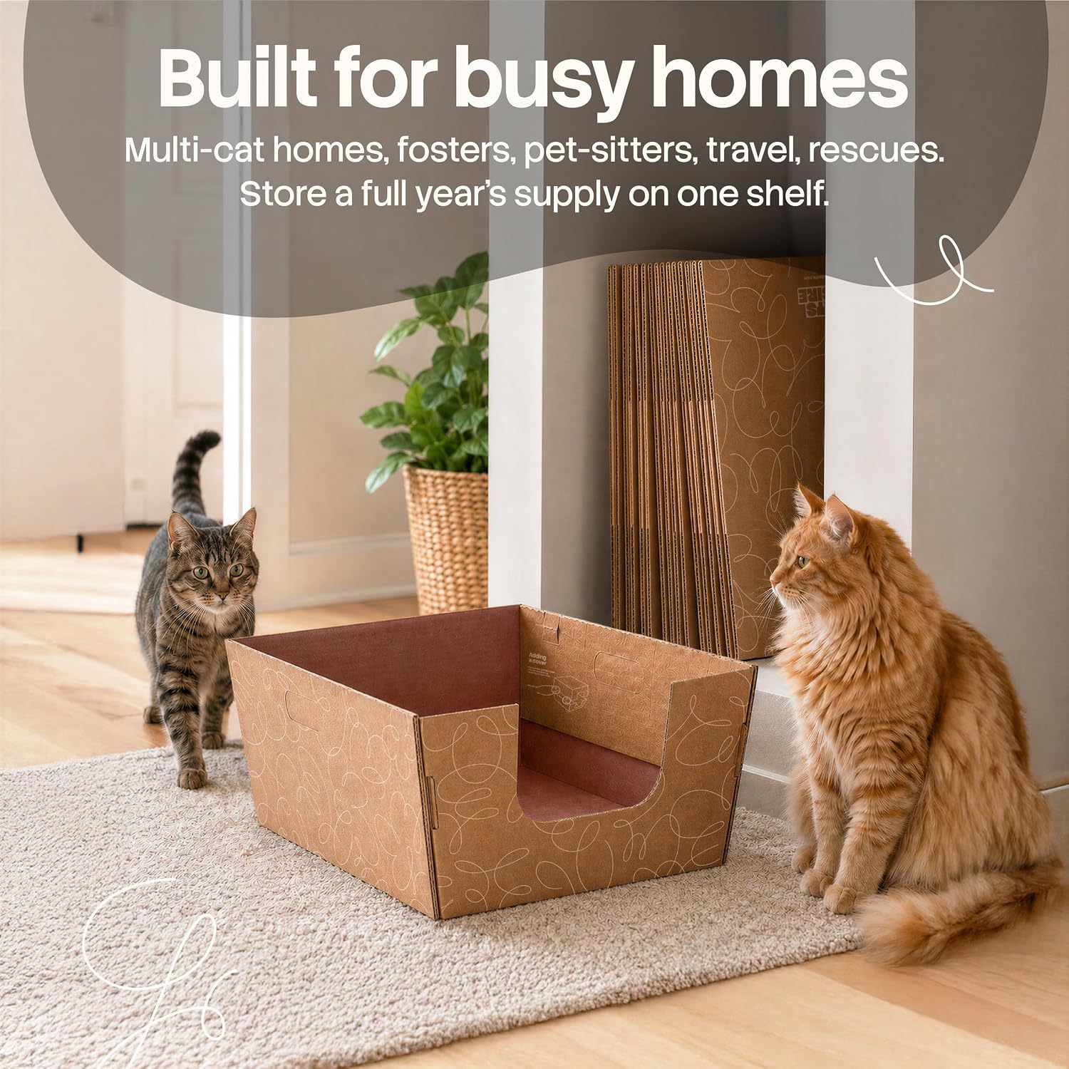 Cats Desire - Disposable Litter Boxes for Cats