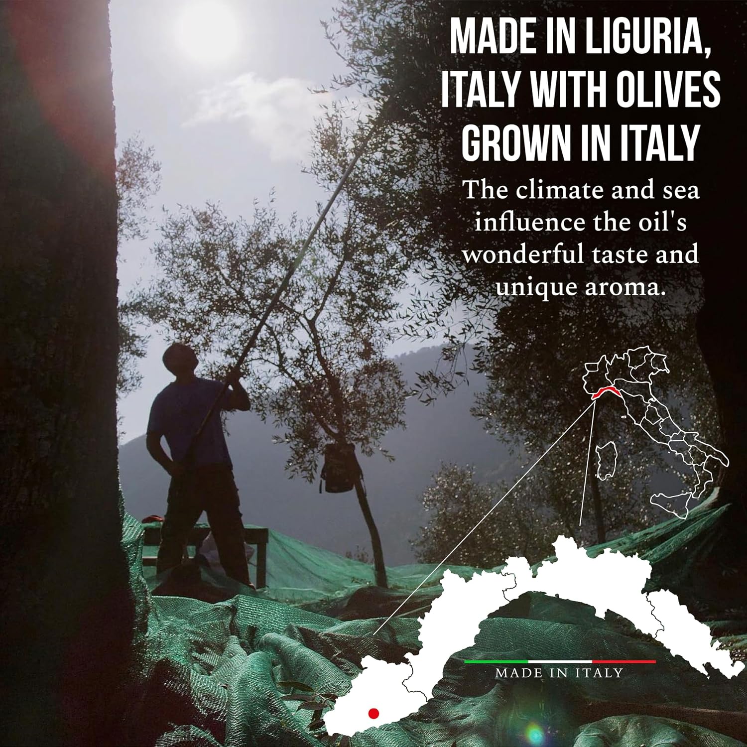 ROI Extra Virgin Olive Oil from Italy - Cucina Ligurian, First Cold Pressed, Pure, Polyphenol Rich Italian EVOO - 34 fl oz (1 Liter)
