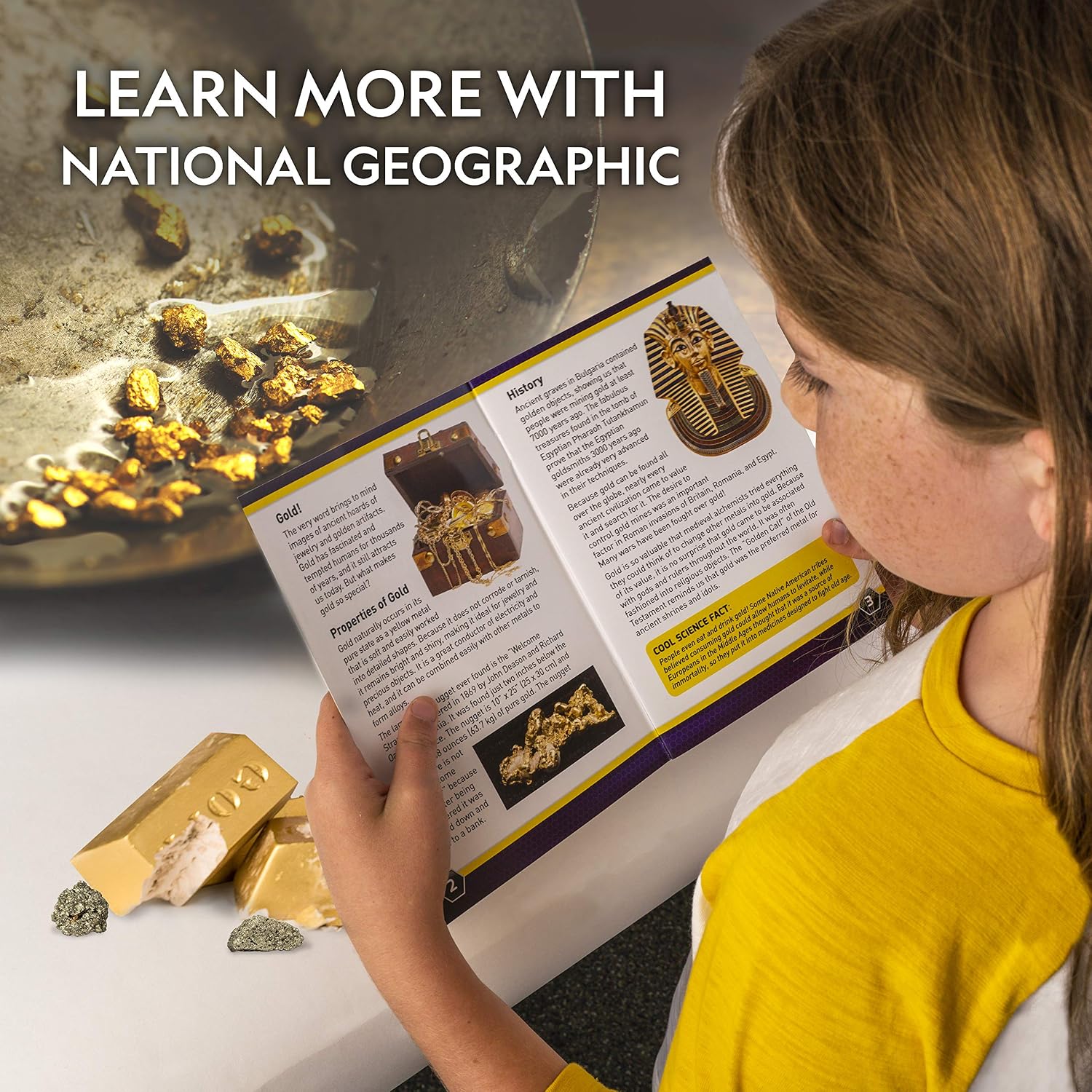 National Geographic Fool's Gold Dig Kit with 12 Gold Bar Dig Bricks