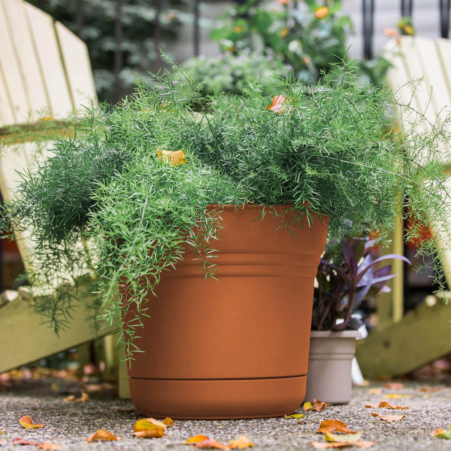 Bloem Saturn Planter with Saucer, 10", Calypso (SP1027)
