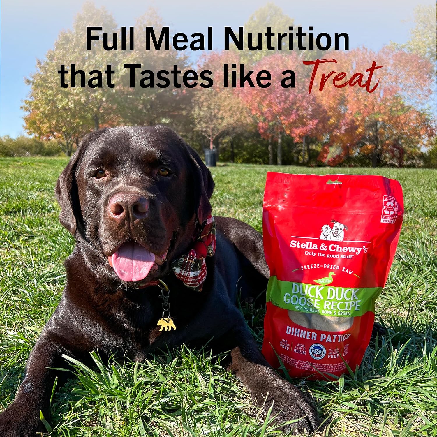 Stella & Chewy’s Freeze Dried Raw Dinner Patties – Grain Free Dog Food, Protein Rich Stella’s Super Beef Recipe – 5.5 oz