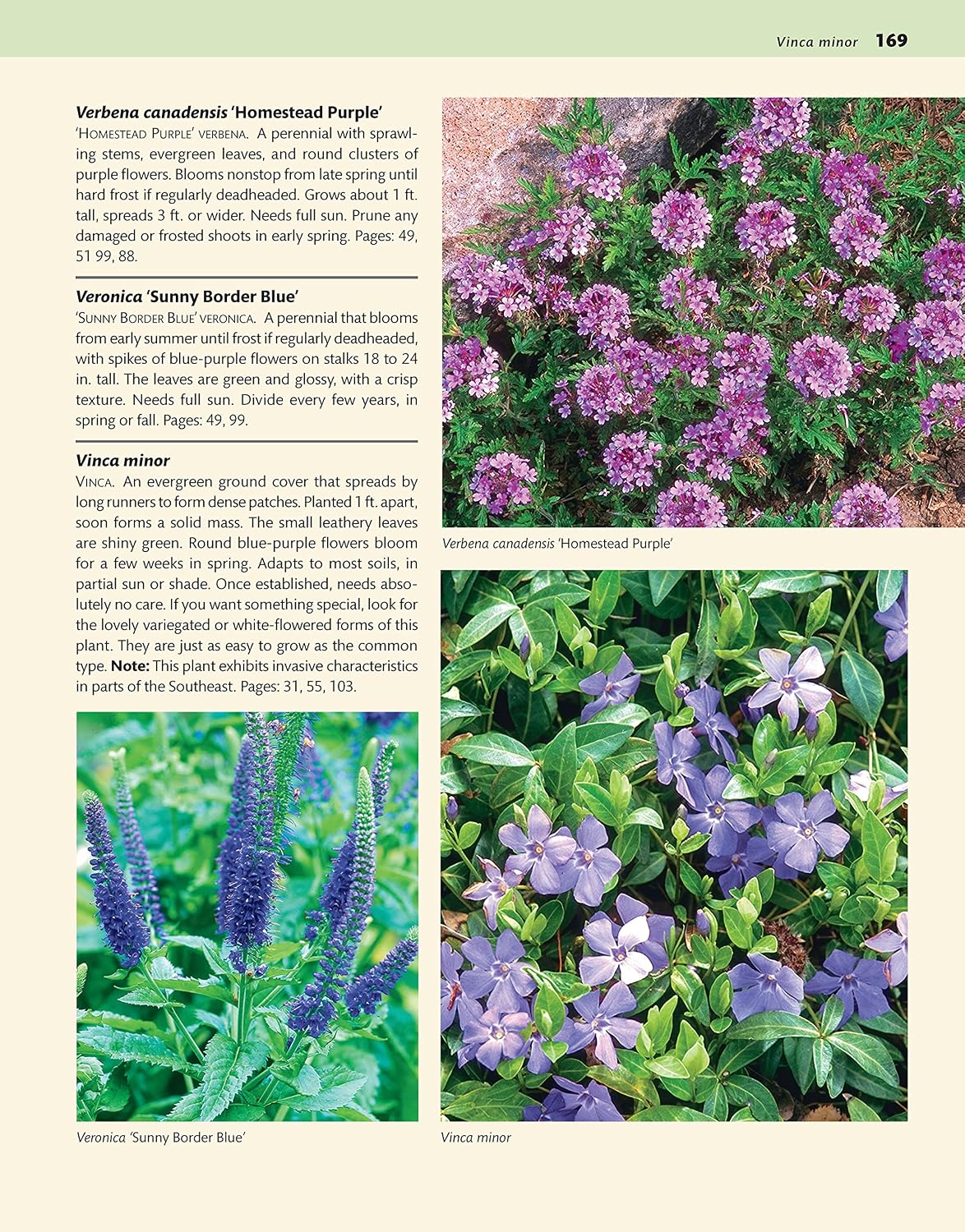 Southeast Home Landscaping, Fourth Edition: 54 Landscape Designs with 200+ Plants & Flowers for Your Region (Creative Homeowner) Plans, Ideas