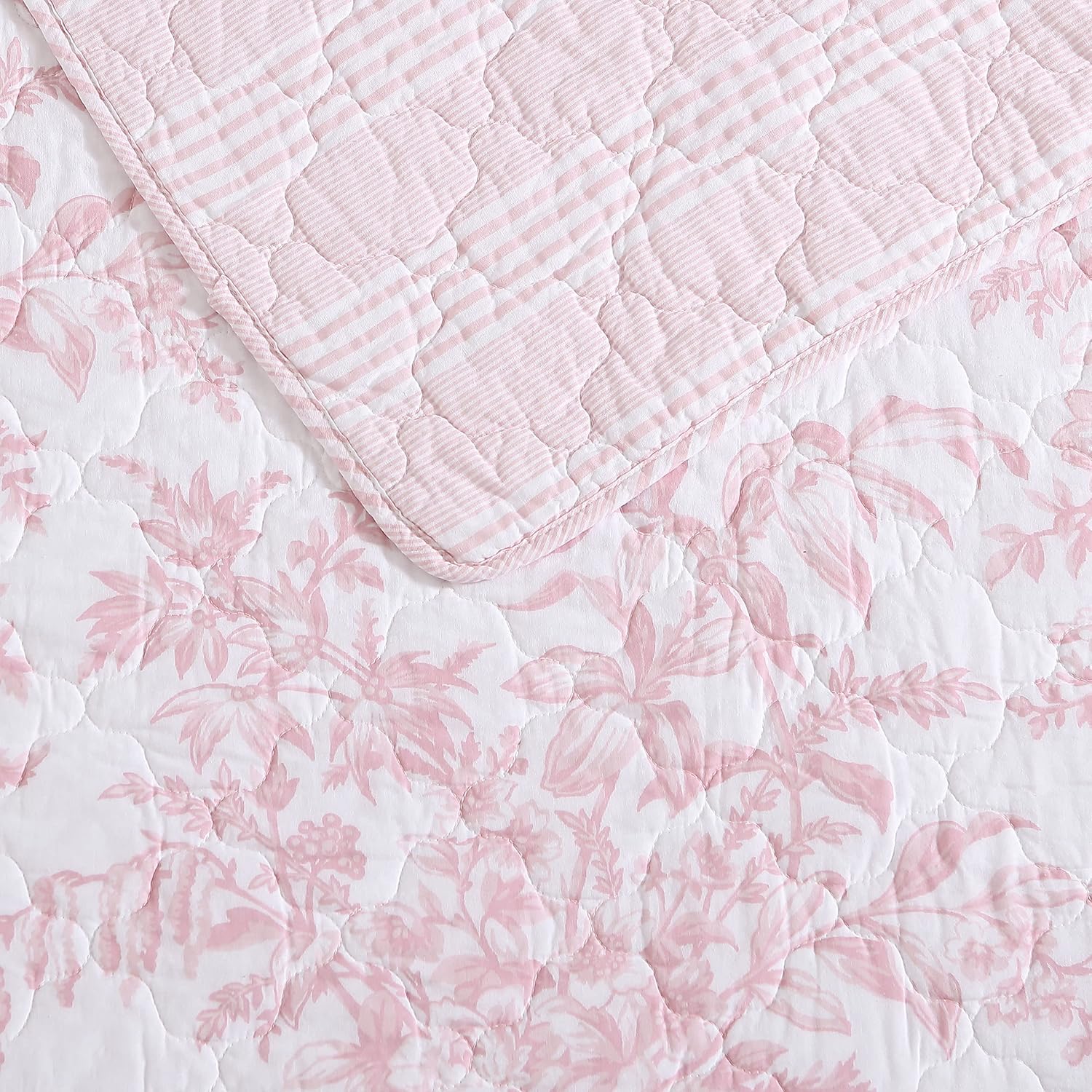 Laura Ashley – Queen Quilt Set, Soft & Lightweight Bedding with Matching Shams, Reversible Floral Room Decor, College Dorm Room Essentials (Bedford Blue)