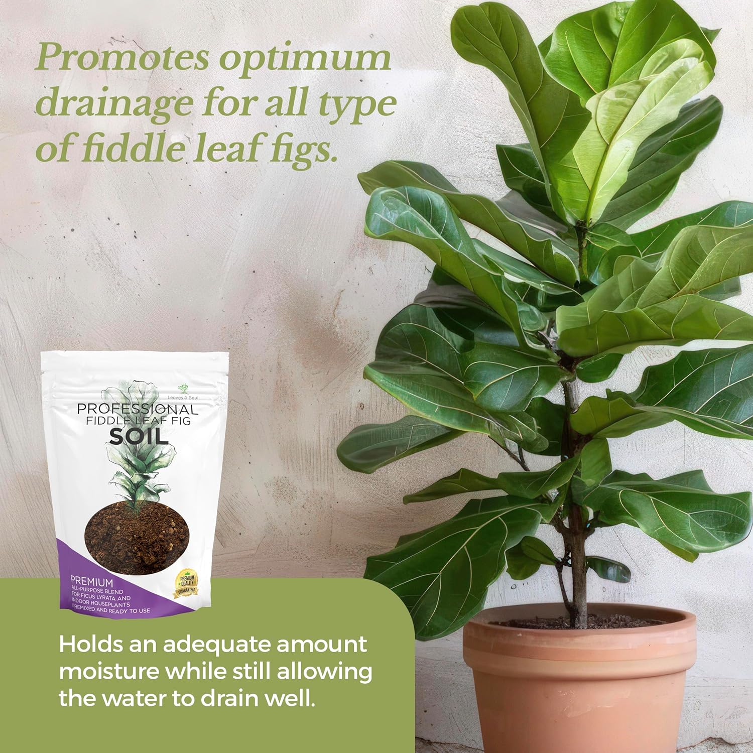 Professional Bonsai Soil Mix Ready to Use | Large 2.2 Quarts, Premium Potting Soil for Bonsai Trees