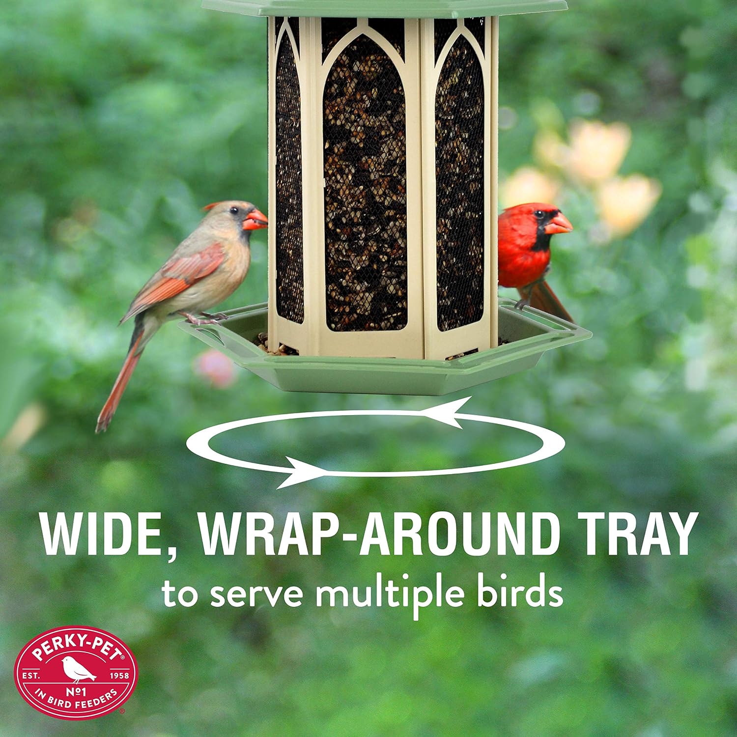 Perky-Pet GAZ01 Pistachio Gazebo Bird Feeder - Metal Bird Feeders for Outside - Outdoor Garden Décor