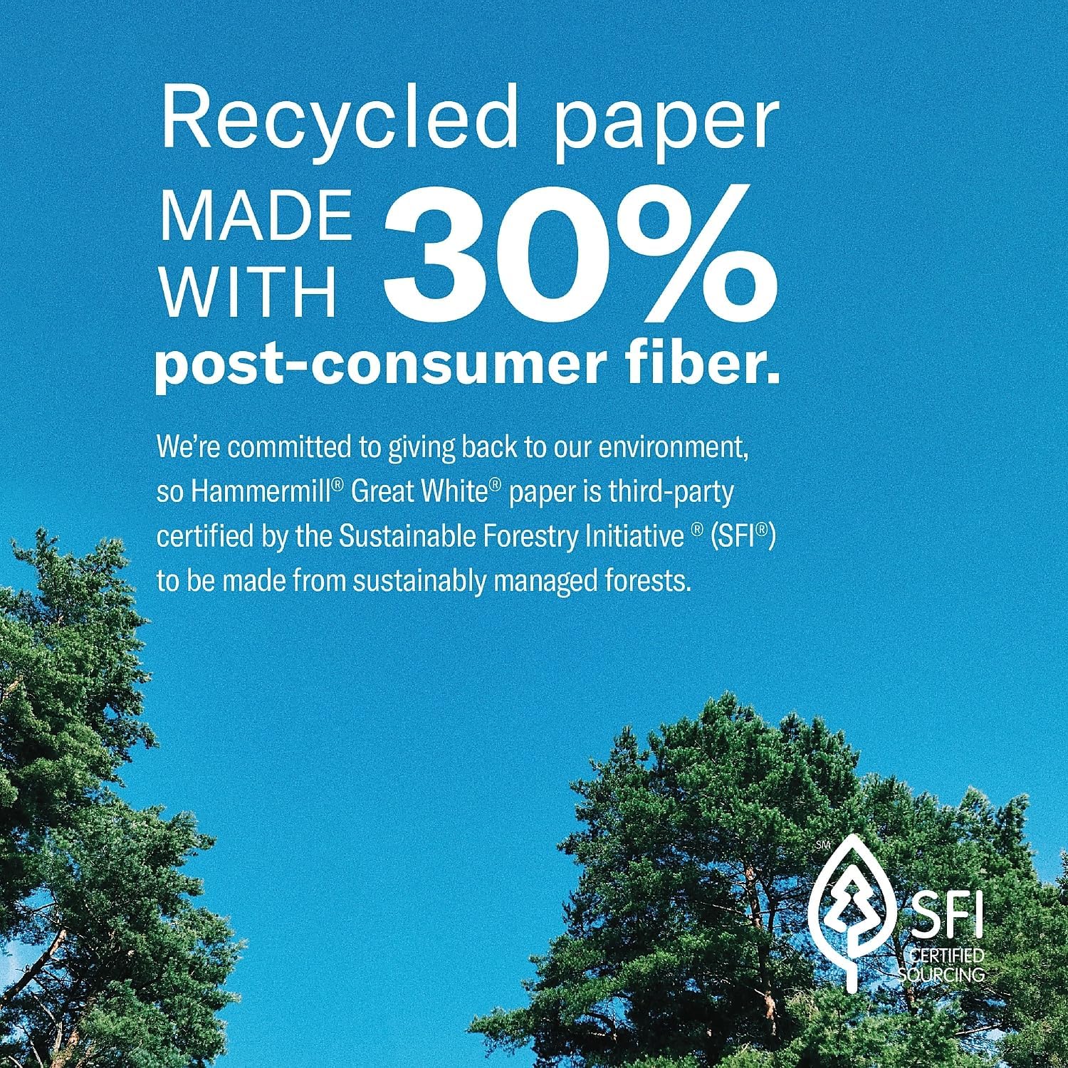 Hammermill Printer Paper, Great White 30% Recycled Paper, 8.5 x 11-1 Ream (500 Sheets) - 92 Bright, Made in the USA, 086710