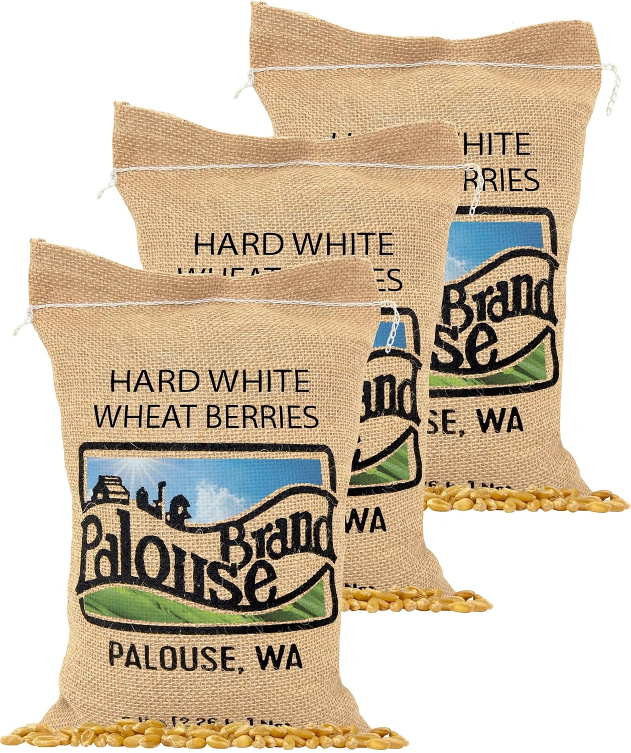 Palouse Brand Certified Glyphosate Residue Free Hard White Wheat Berries | 5 LBS | Non-GMO Project Verified | Kosher