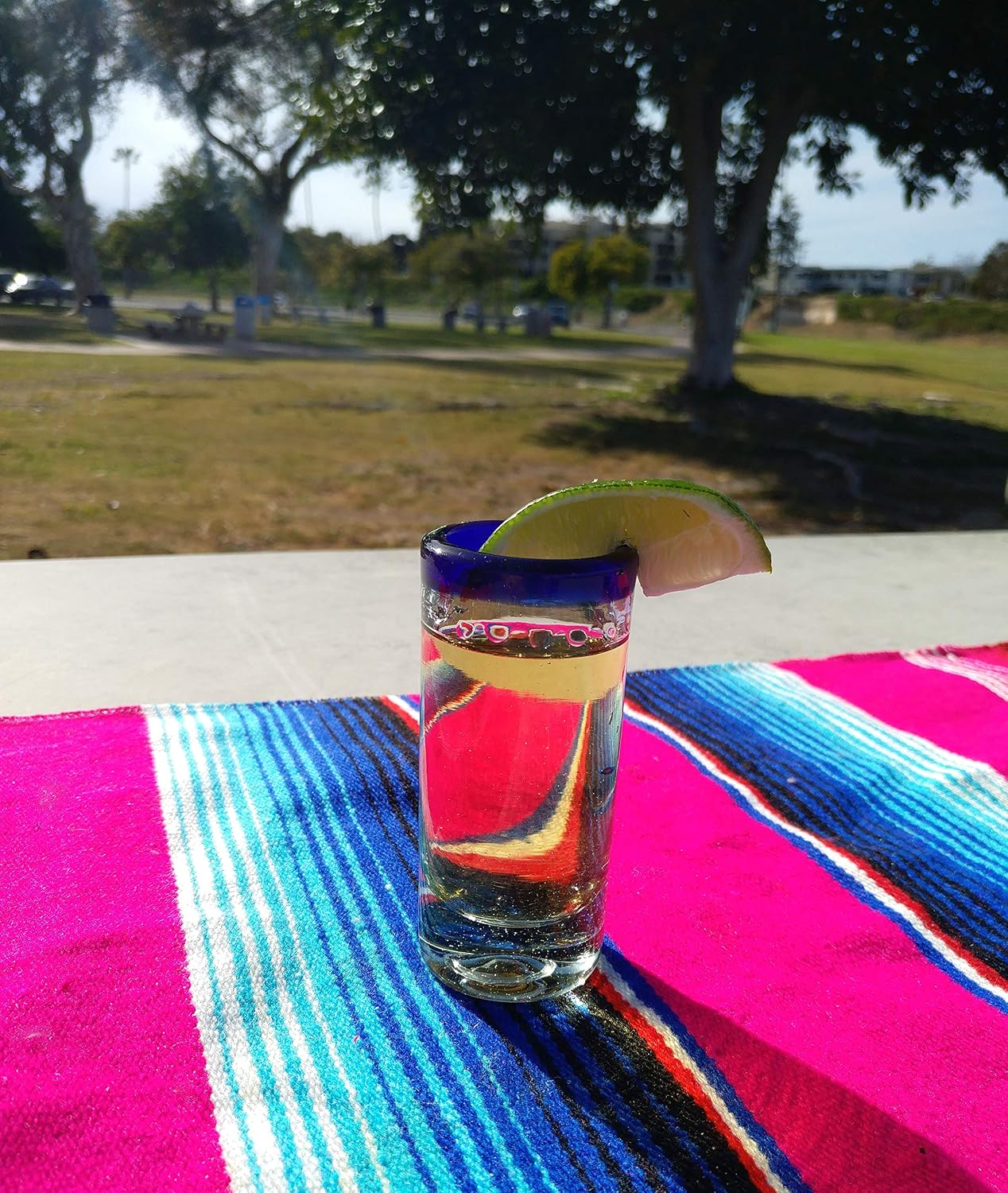 Hand Blown Mexican Tequila Shot Glasses – Set of 6 Cobalt Blue Rim Tequila Shot Glasses (2 oz each)