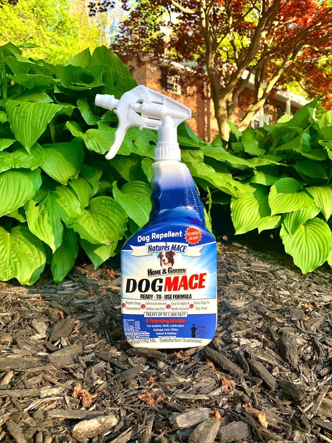 Nature's MACE Dog Mace Dog Repellent 1 Gallon Concentrate | Potty Training Tool Spray, Indoor & Outdoor, Pee Deterrent, Safe Around Kids, Pets, Garden & Plants, Treats 48,000 Sq. Ft.