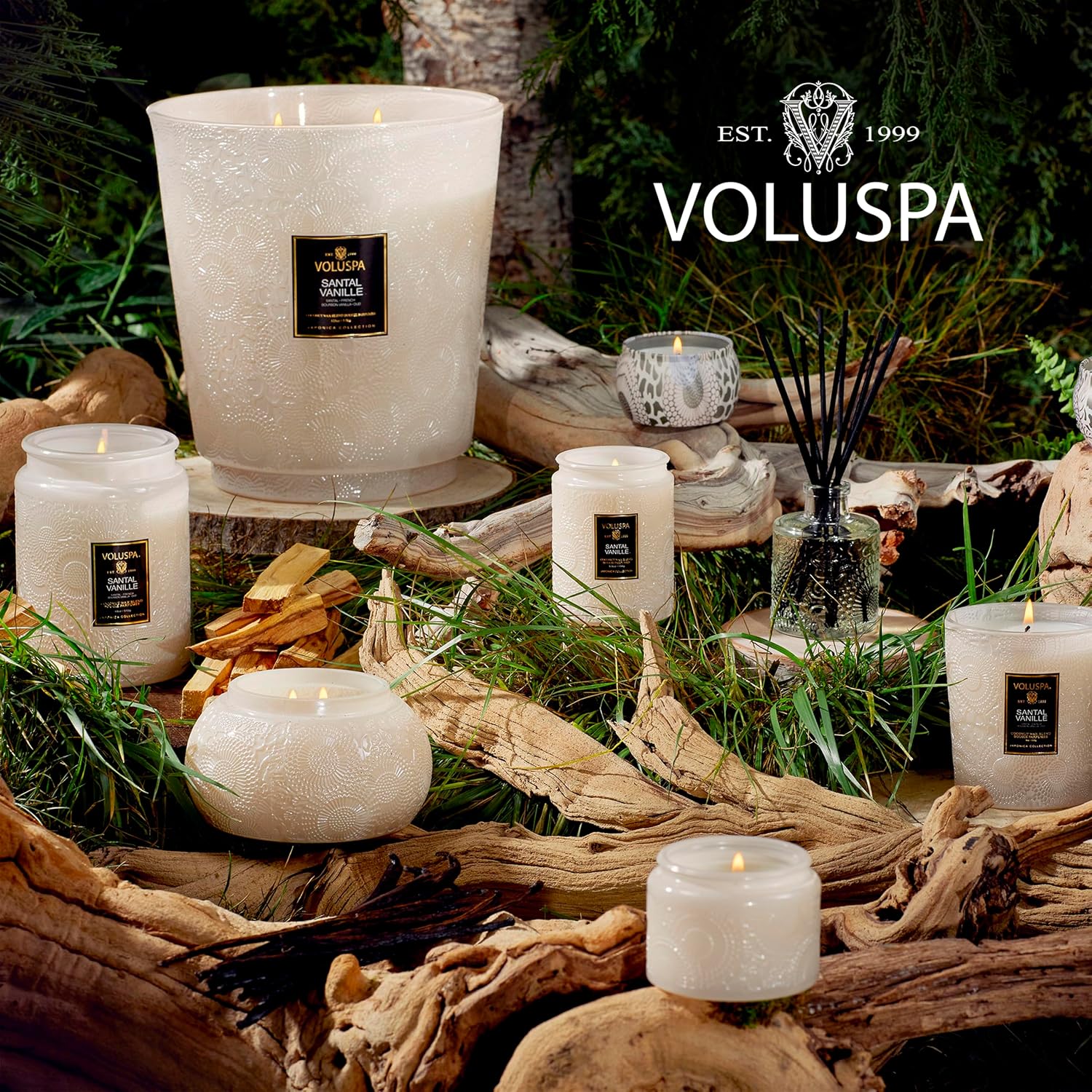 Voluspa Santal Vanille, 3 Wick Tin Candle, 12 oz, 40 Hour Burn Time, Coconut Wax for Clean Burning, Handcrafted in the USA