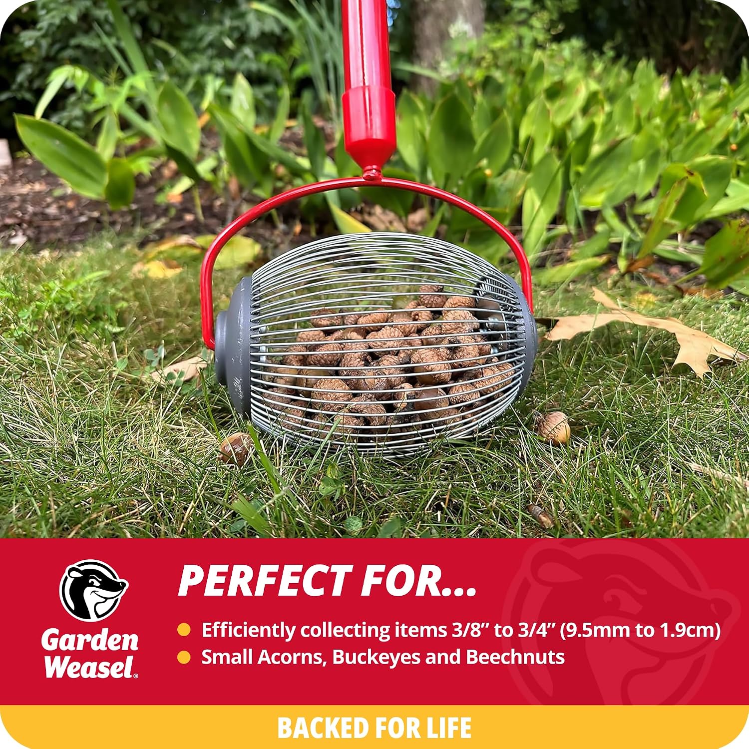 Garden Weasel Small Nut Gatherer Roller for Acorns Buckeyes Beech Nuts