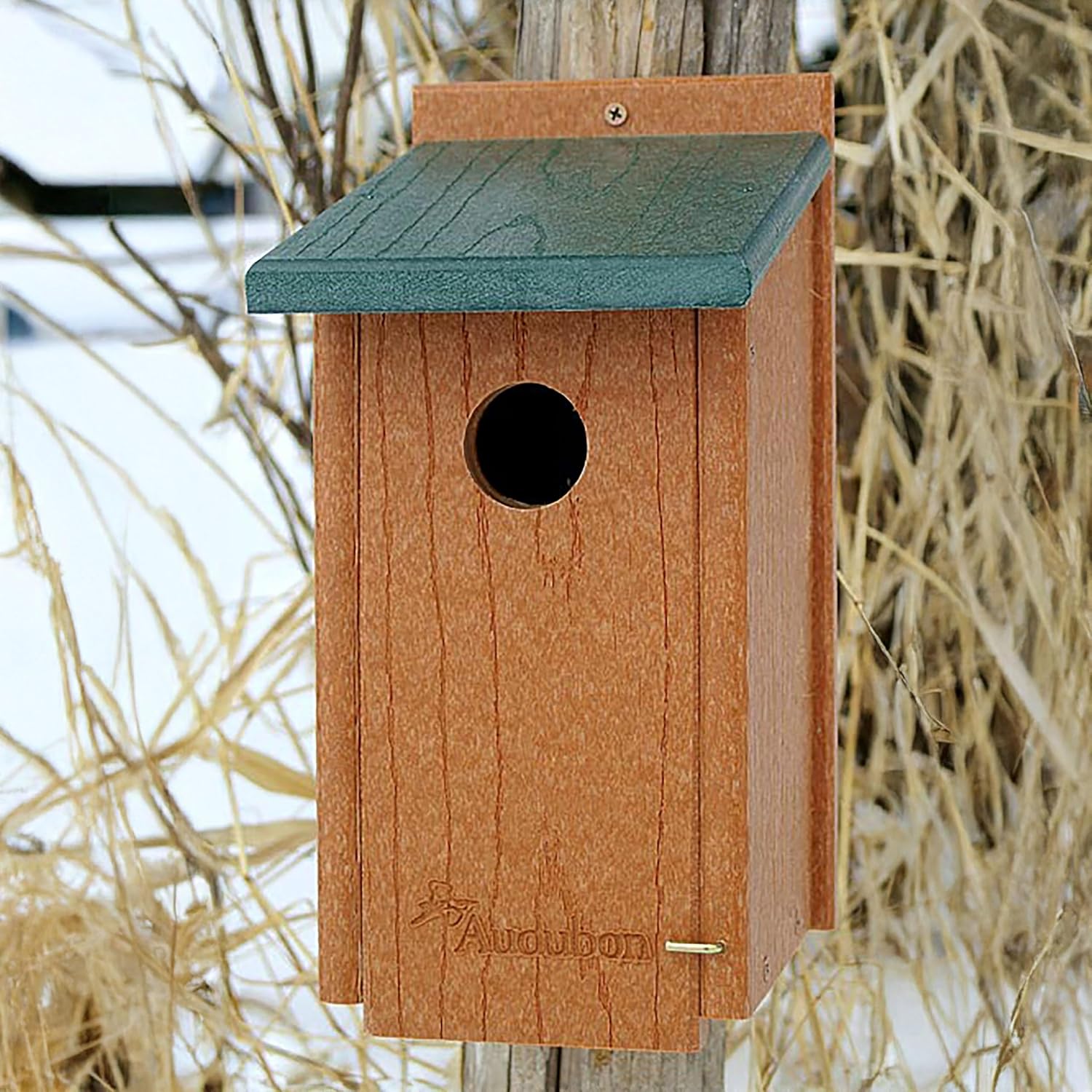 Woodlink NAGGBB Audubon Going Green Bluebird House , 12 Inch