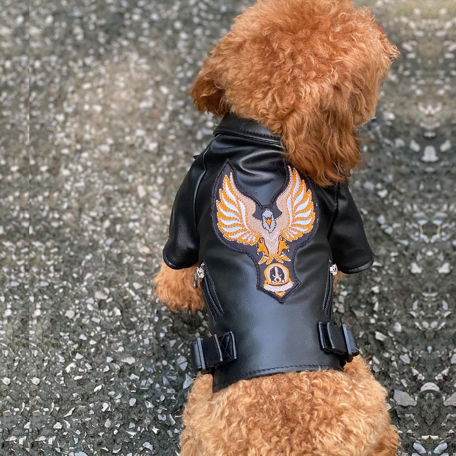 Lovelonglong Cool Dog Leather Jacket, Warm Coats Dogs Windproof Cold Weather Coats for Large Medium Small Dogs with Eagle Embroidery Black XS