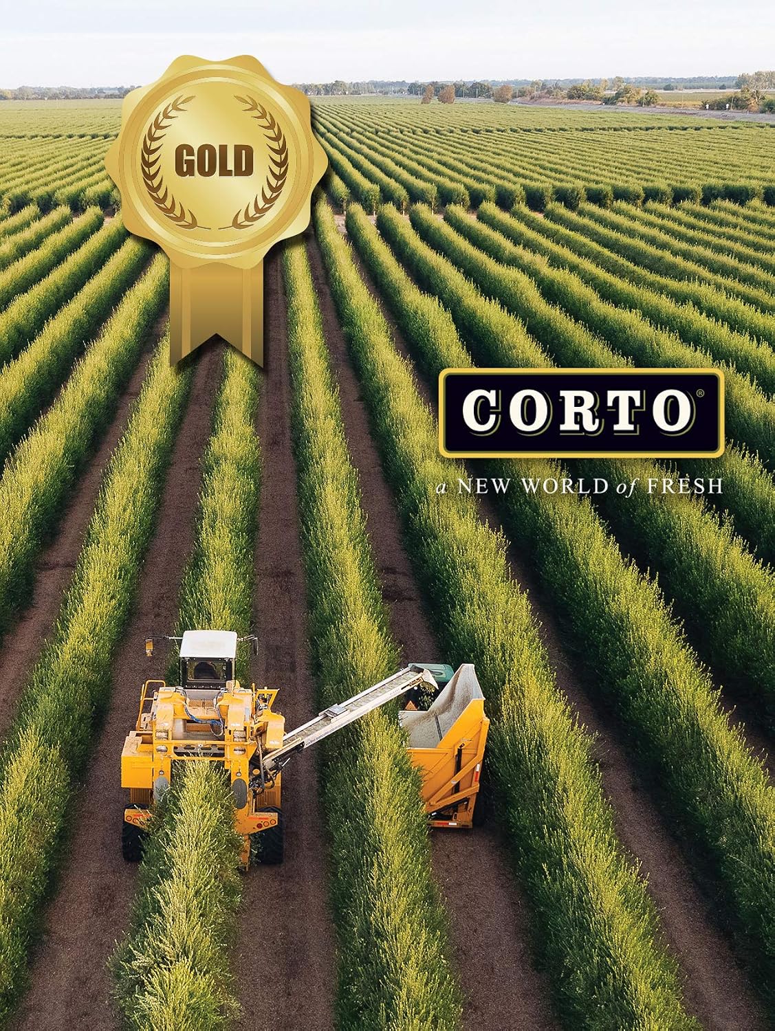 Corto TRULY Extra Virgin Olive Oil, 100% California, Cold Extracted 17 oz | EVOO for Cooking, Drizzling and Marinades, Chef-Trusted, Dark Glass Bottle, Aromatic, Single-Origin Grove