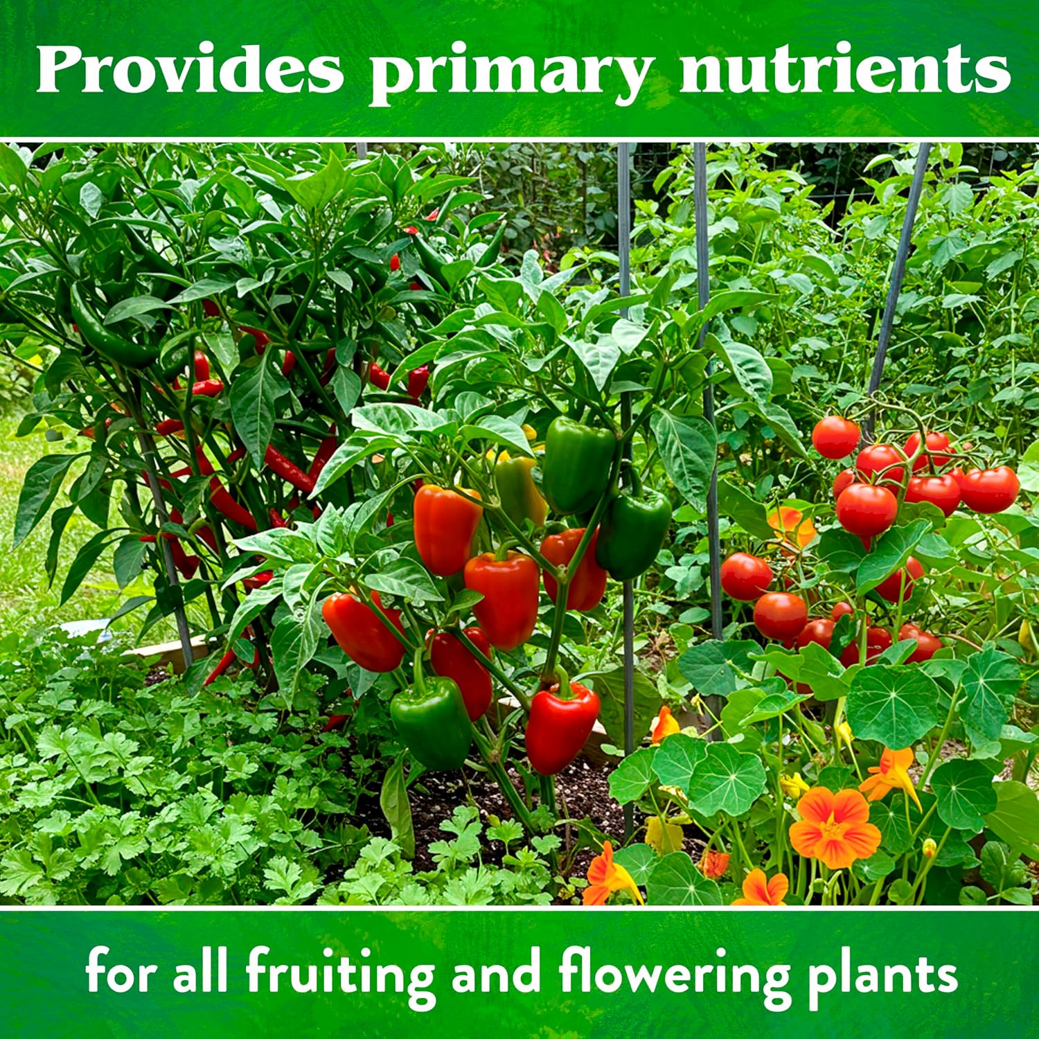 Down To Earth All Natural Fertilizers Organic Fish Bone Meal - 4-12-0, 25lb | High Phosphorus Plant Food for Buds, Bulbs, Blooms, Flower Beds