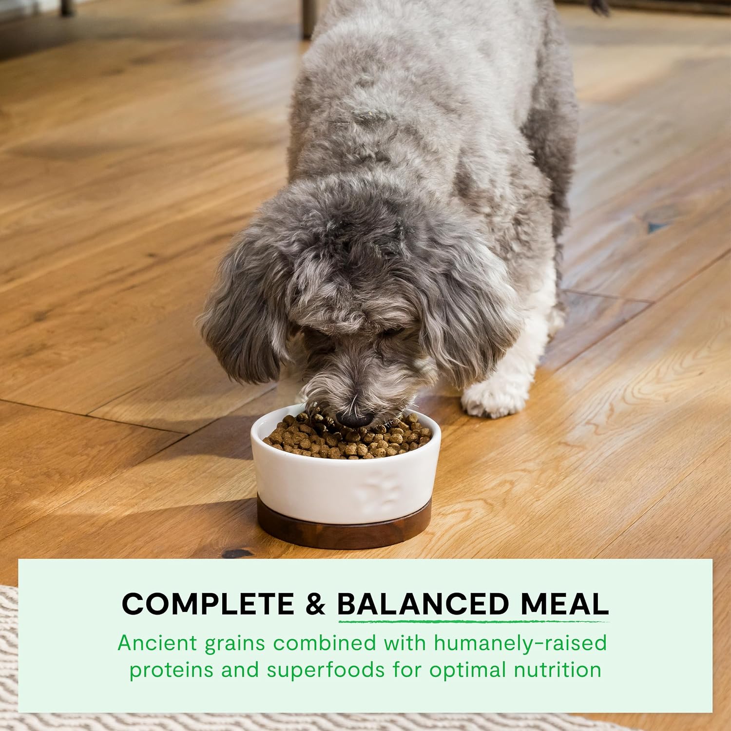 Open Farm Ancient Grains Dry Dog Food, Grass-Fed Beef Kibble, 11lb Bag