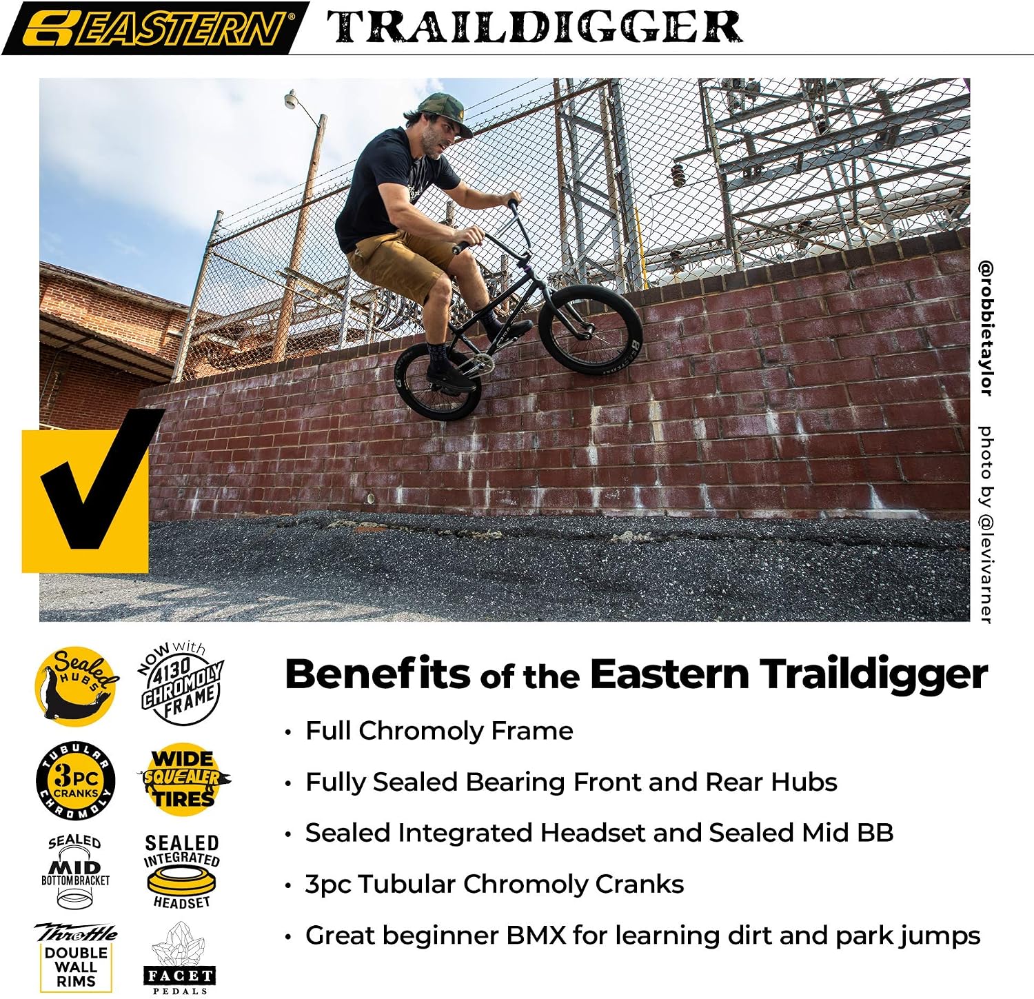 Eastern Bikes Eastern BMX Bikes - Element Model 20 Inch Bike. Lightweight Freestyle Bike Designed by Professional BMX Riders at