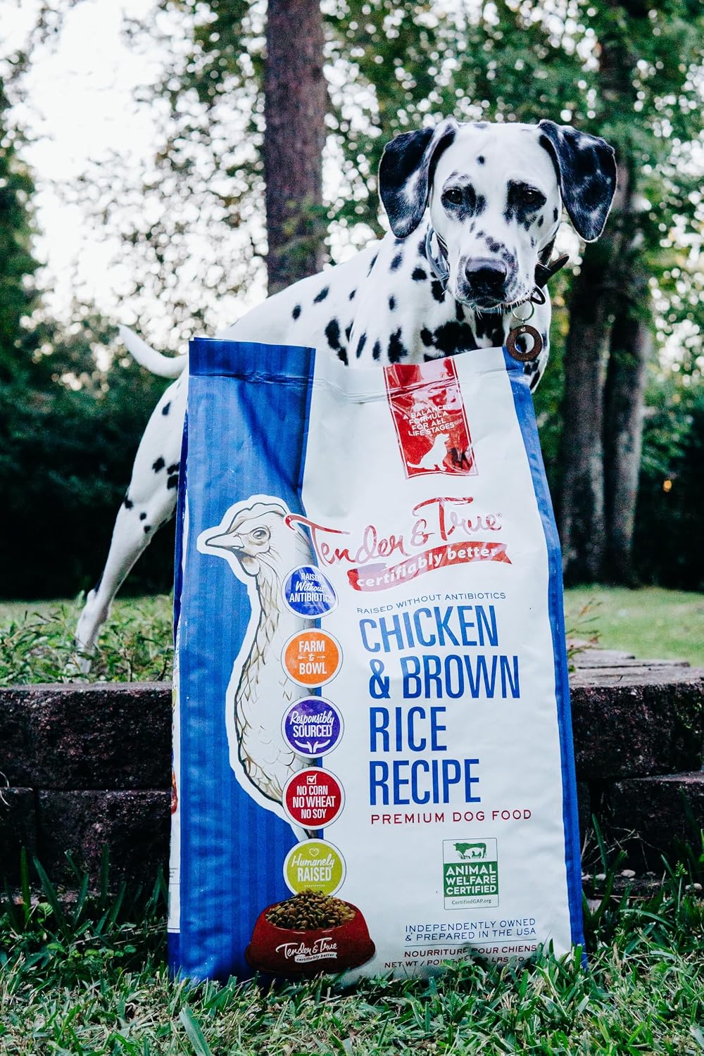 Tender & True Antibiotic-Free Chicken & Brown Rice Recipe Dog Food, 11 lb