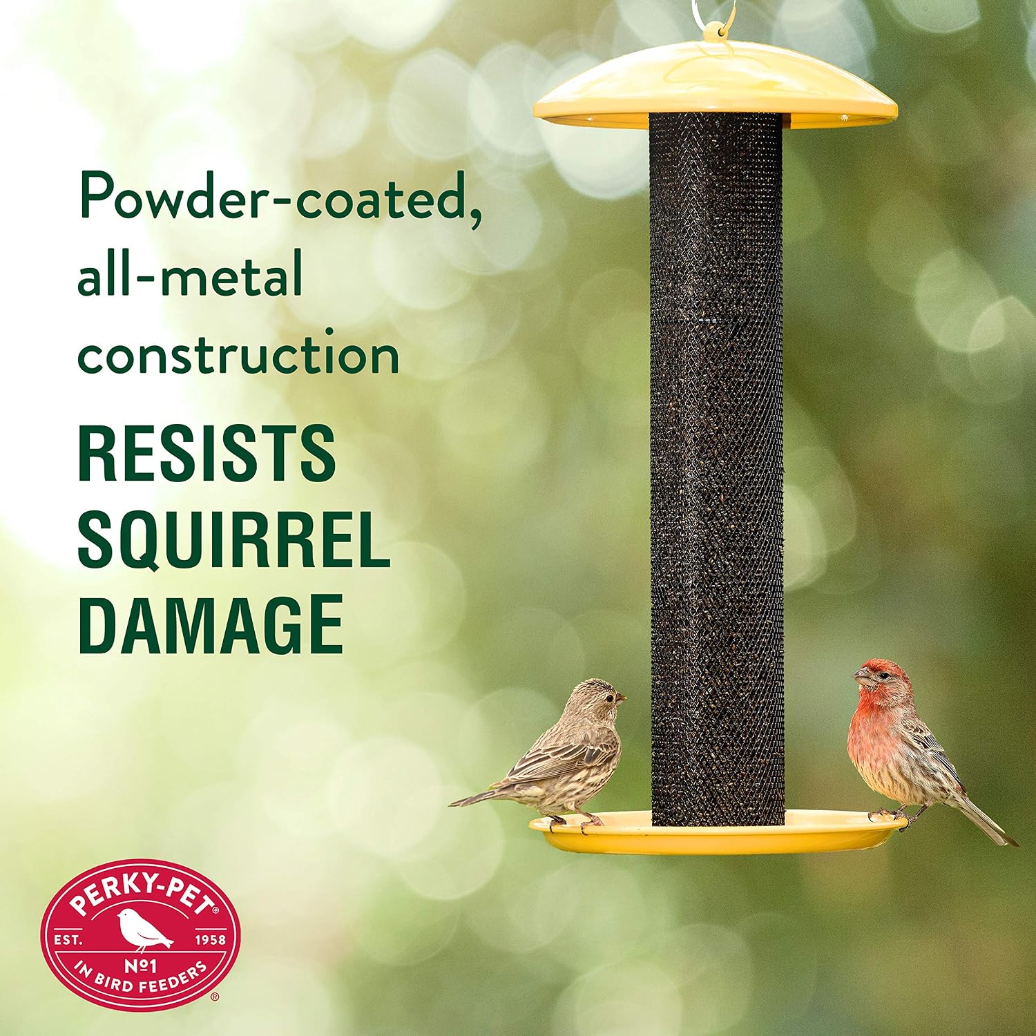 Perky-Pet YSSF00346-2 Straight-Sided Thistle Seed Wire Mesh Tube Finch Bird Feeder | Wire Mesh, Metal Construction, Evenseed Technology