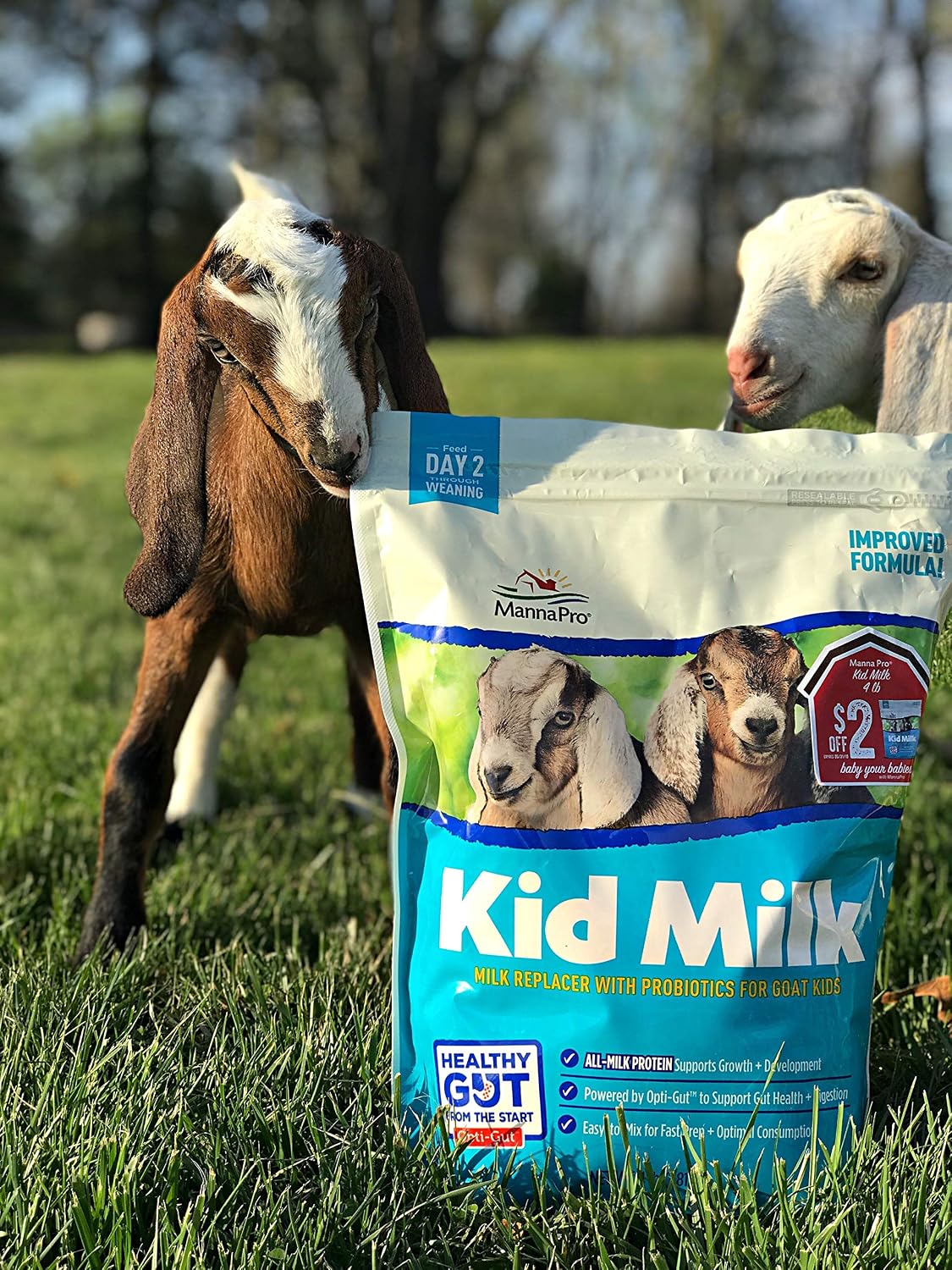Manna Pro Goat Kid Milk Replacer with Opti-Gut, 4 lb Bag | High-Protein Milk Replacer, Opti-Gut Digestive Support, Easy-to-Mix Formula, Supports Healthy Kid Goat Growth