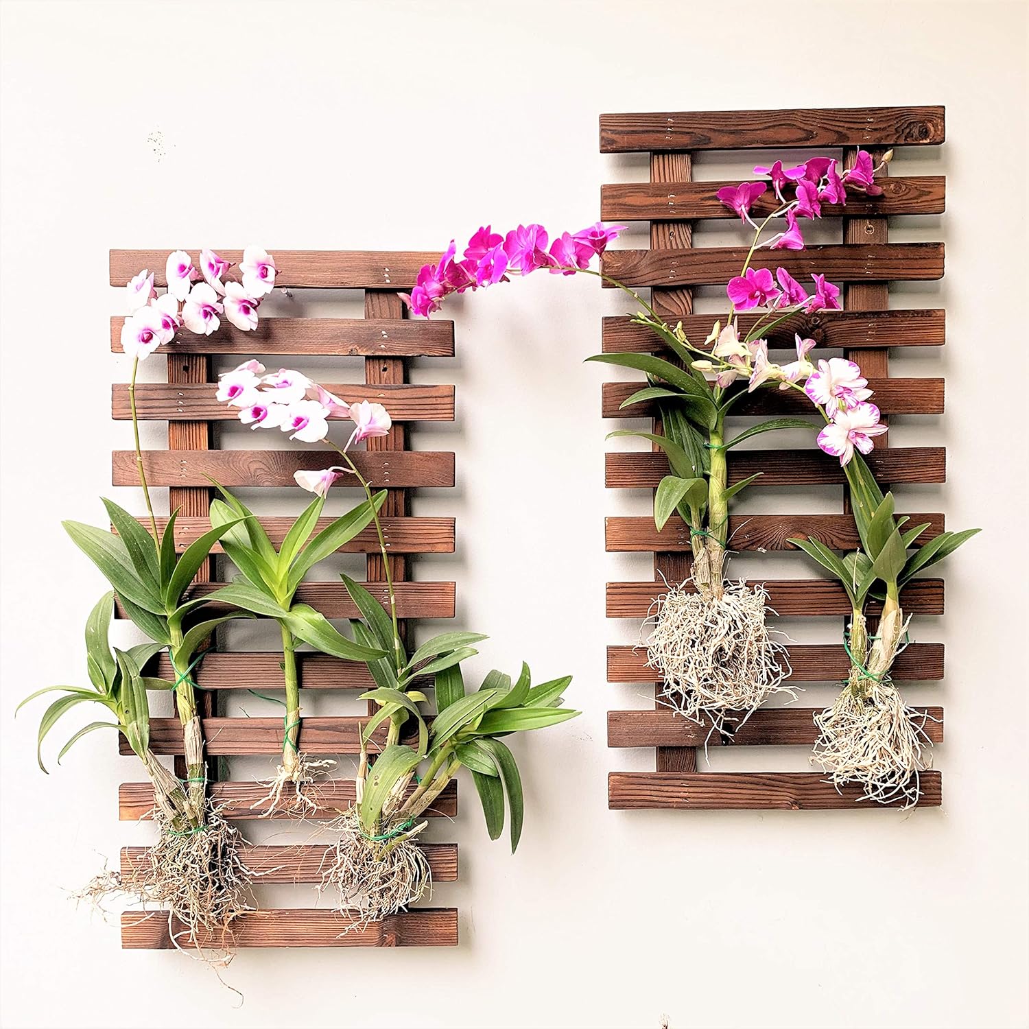 ShopLaLa Wall Planter (60cm, 2 Pack) Hanging Planters for Indoor Plants
