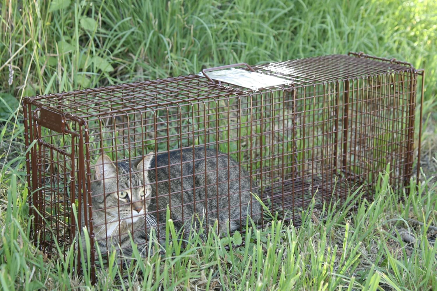 Tru Catch 30LTD Humane Live Animal Trap - Easy & Safe Catch & Release for Cats, Rabbits