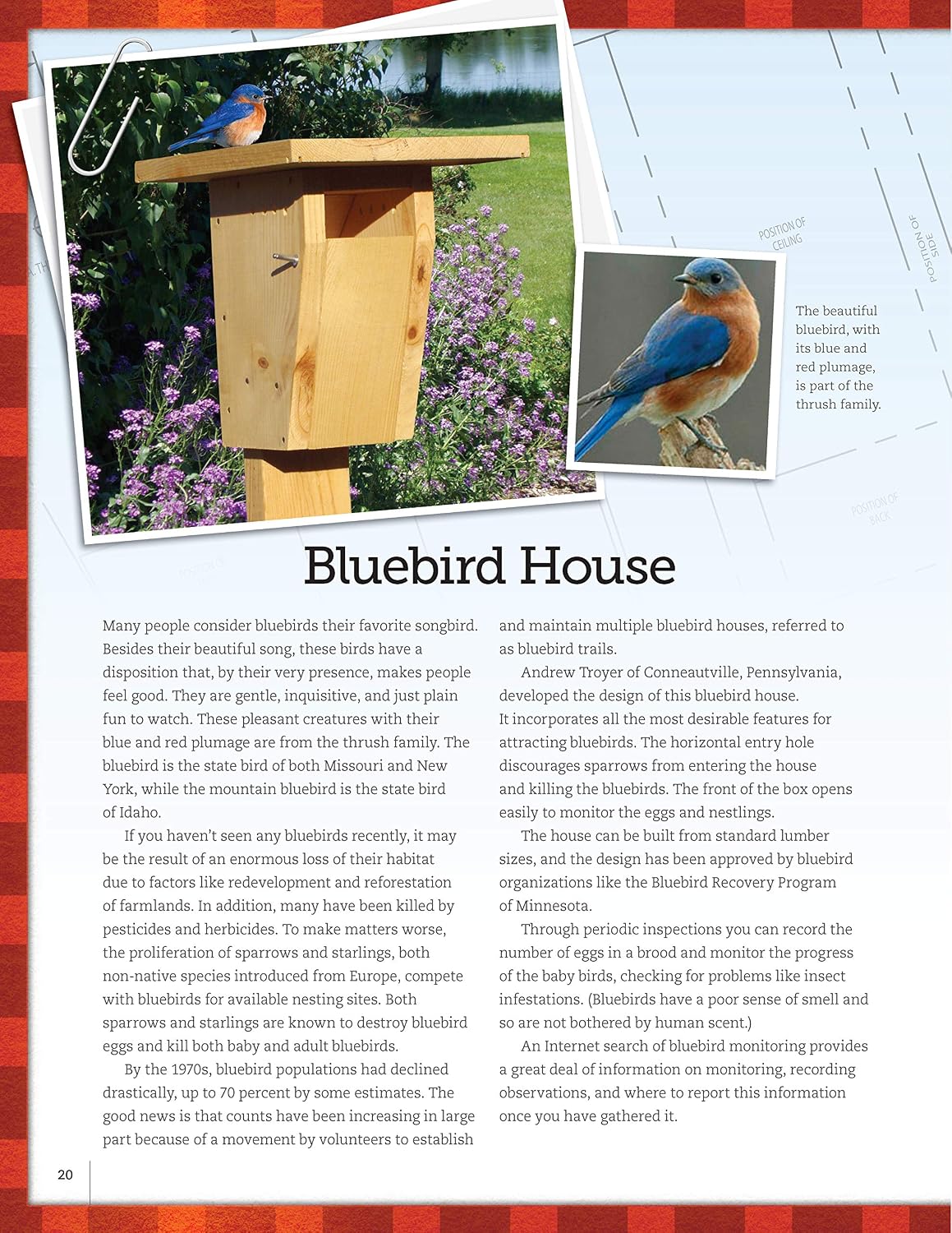 Bird-Friendly Nest Boxes & Feeders: 12 Easy-to-Build Designs that Attract Birds to Your Yard (Fox Chapel Publishing) Projects and Advice for