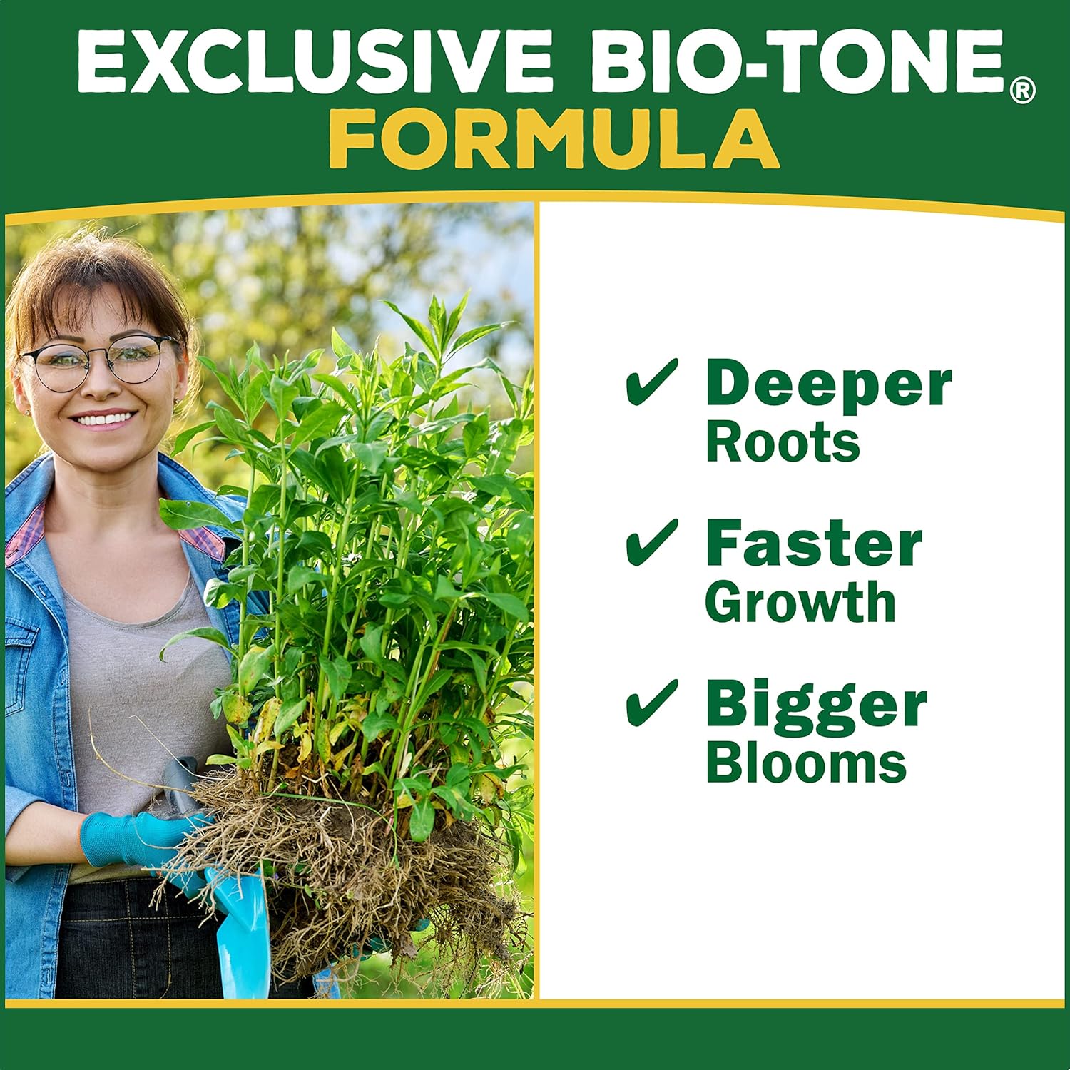 Espoma Organic Holly-Tone 4-3-4 Natural & Organic Evergreen & Azalea Plant Food, 4 lb. Bag
