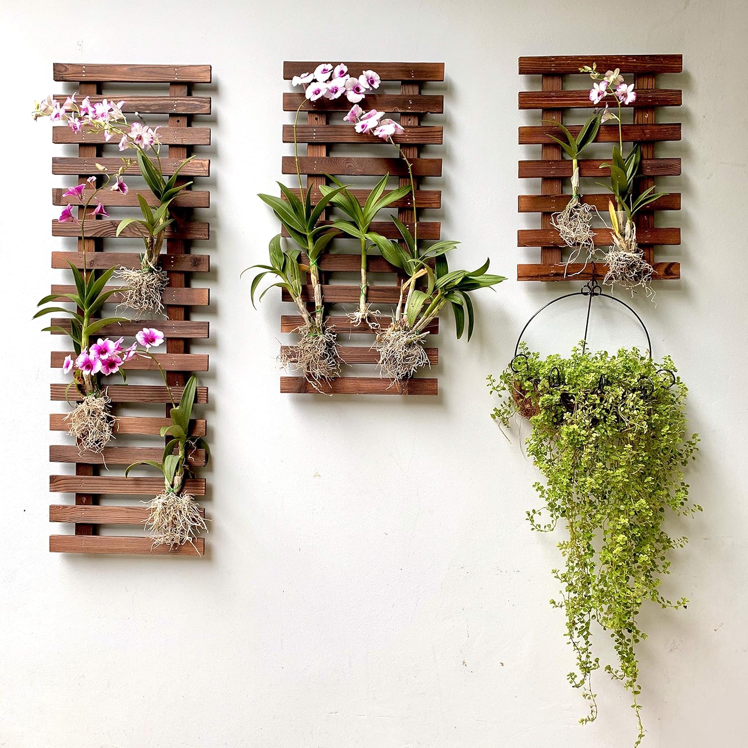 ShopLaLa Wall Planter (60cm, 2 Pack) Hanging Planters for Indoor Plants