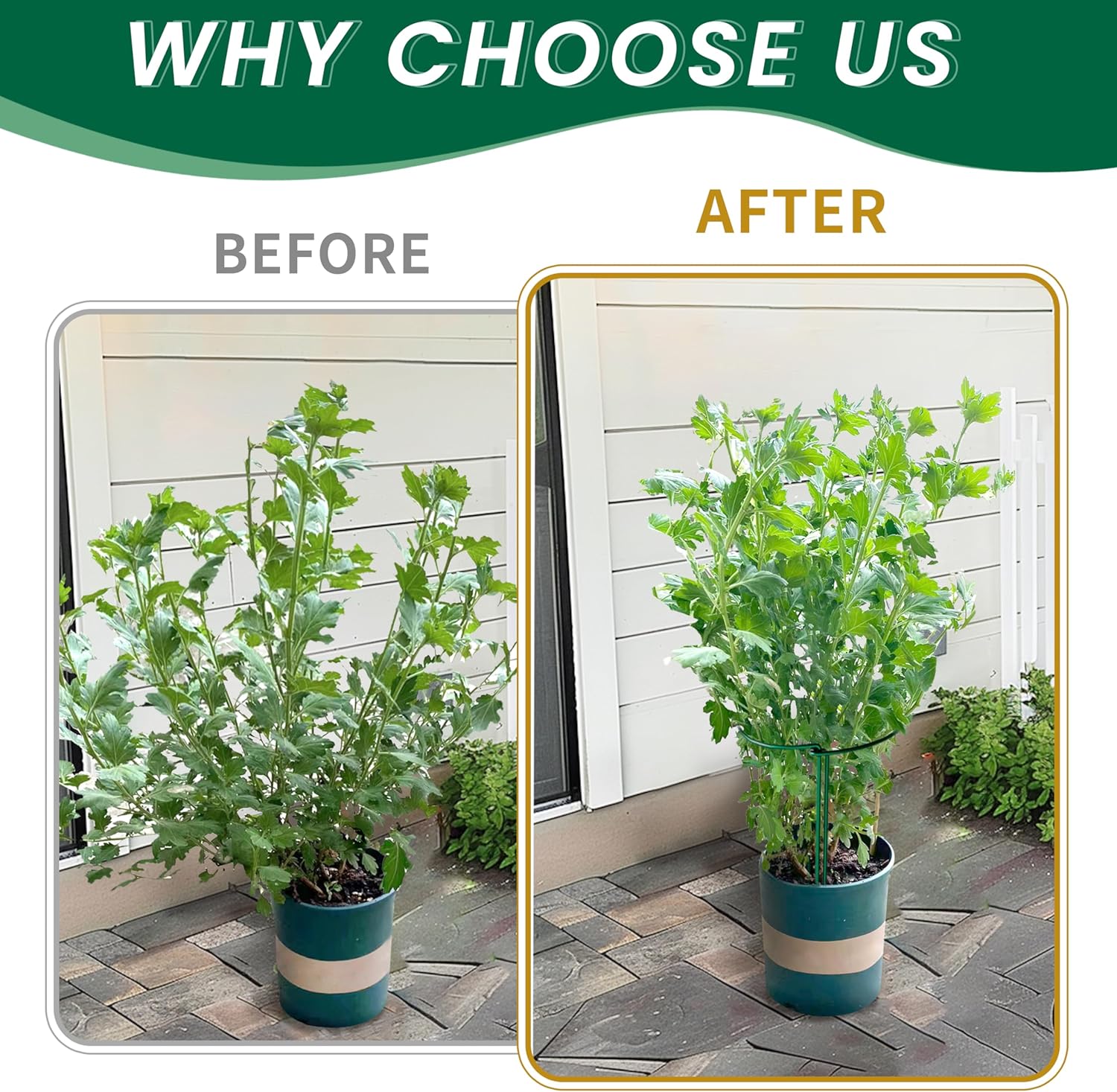 TCBWFY 10 Pack Garden Plant Support Stakes, 10" Widex16 High Heavy Duty Interlinked Half Round Peony Support Ring Cage for Indoor Outdoor Plants