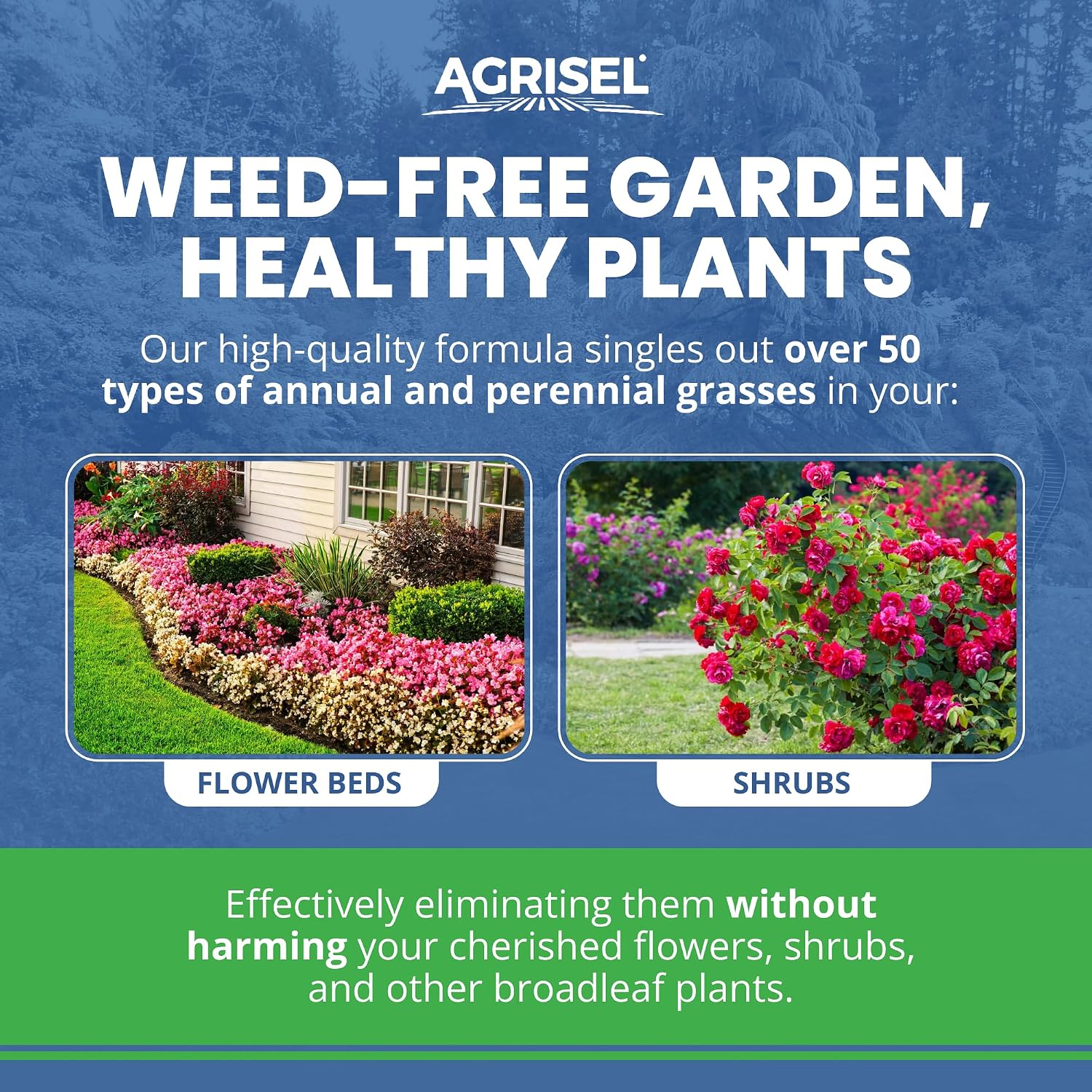 Agrisel GrassOut Max Weed Killer, Pet Safe, 32 Ounces | Targets 50+ Grassy Weeds Without Harming Desired Plants, Large Area Treatment, Easy Application