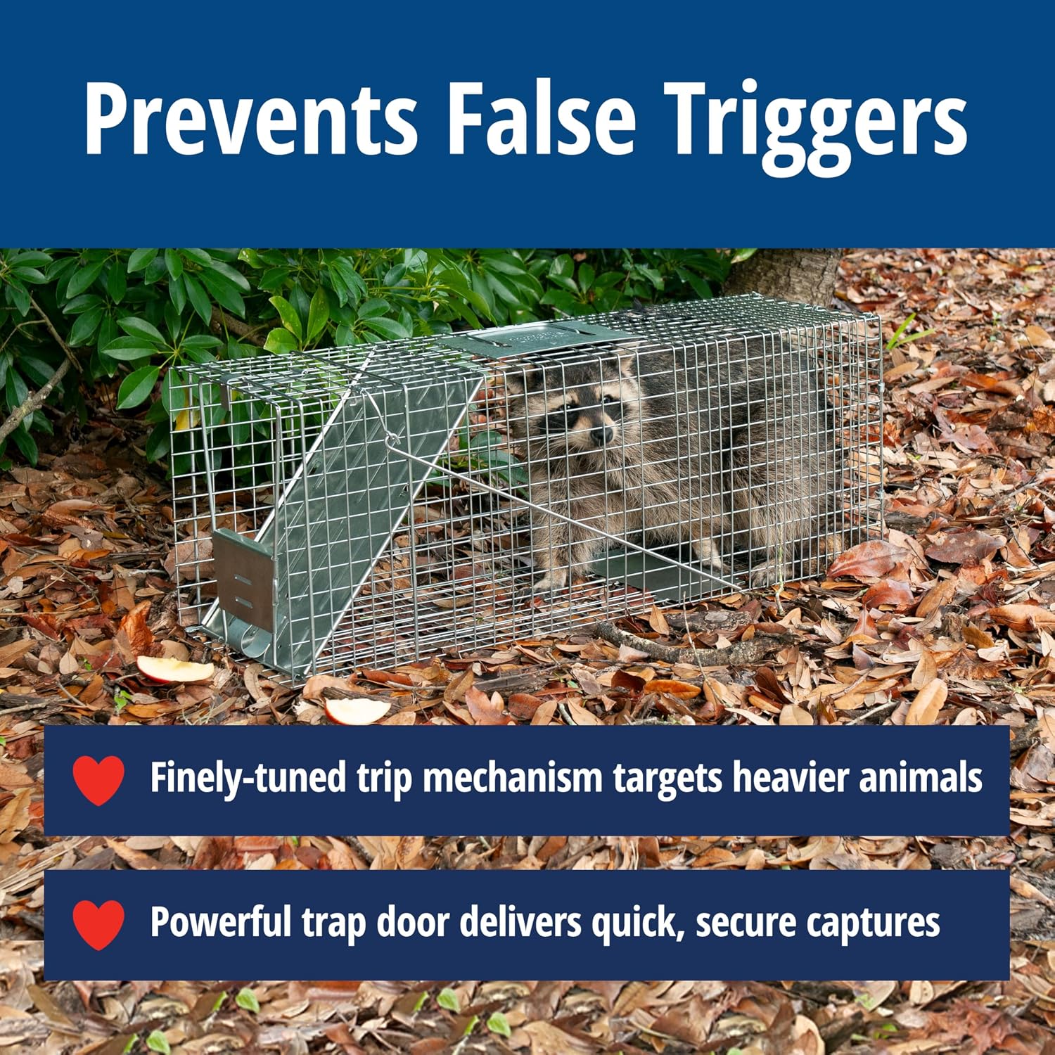 Havahart Large 1-Door Live Animal Trap for Raccoons, Cats, Bobcats, Beavers | Heavy Duty Humane Catch and Release Cage Trap for Outdoor Pest Control