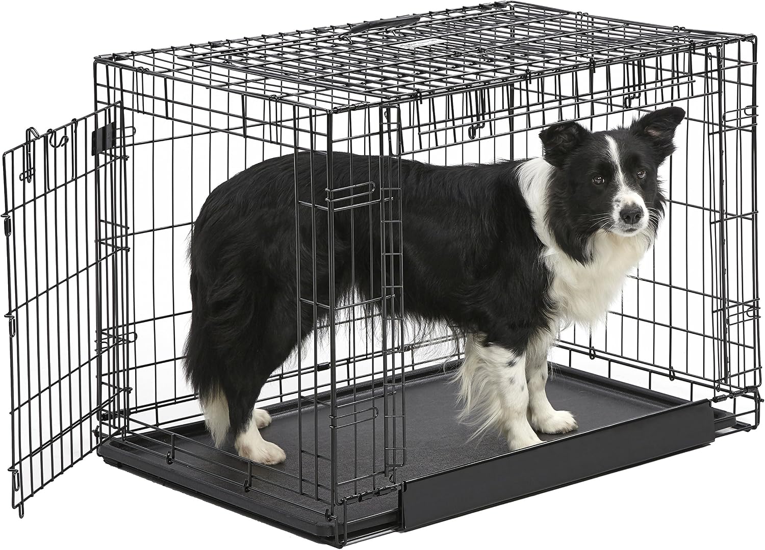 MidWest Homes for Pets Medium Ovation Double Door 30-inch Folding Metal Dog Crate, Front and Up & Away Side Doors, Space-Saving Design