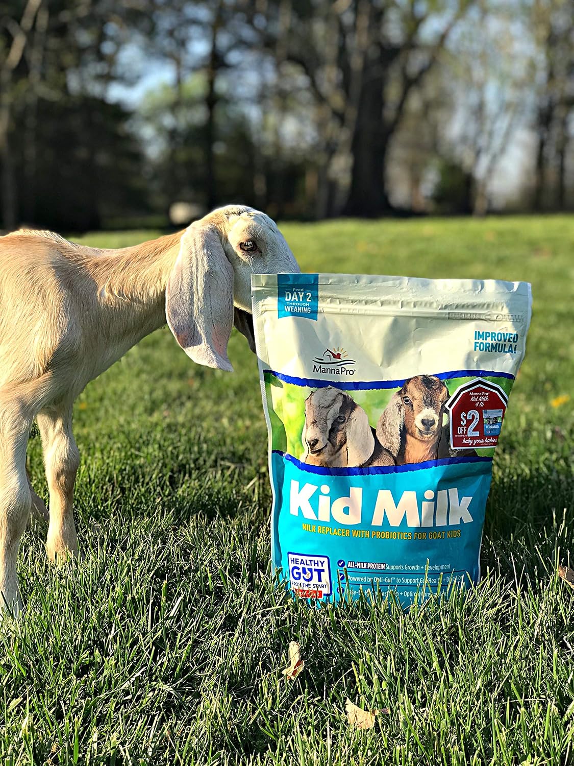 Manna Pro Goat Kid Milk Replacer with Opti-Gut, 4 lb Bag | High-Protein Milk Replacer, Opti-Gut Digestive Support, Easy-to-Mix Formula, Supports Healthy Kid Goat Growth