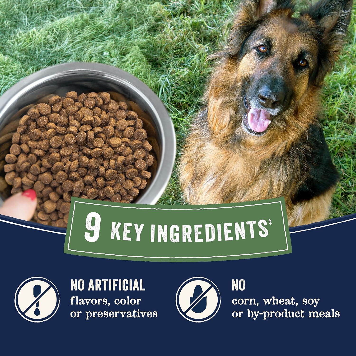 Canidae Pure Farm to Bowl Dry Senior Dog Food - Limited Ingredient Formula - Grain, Wheat & Soy-Free - Senior Dog Friendly - 22 lb - Free-Range Chicken, Sweet Potato & Garbanzo Bean Recipe