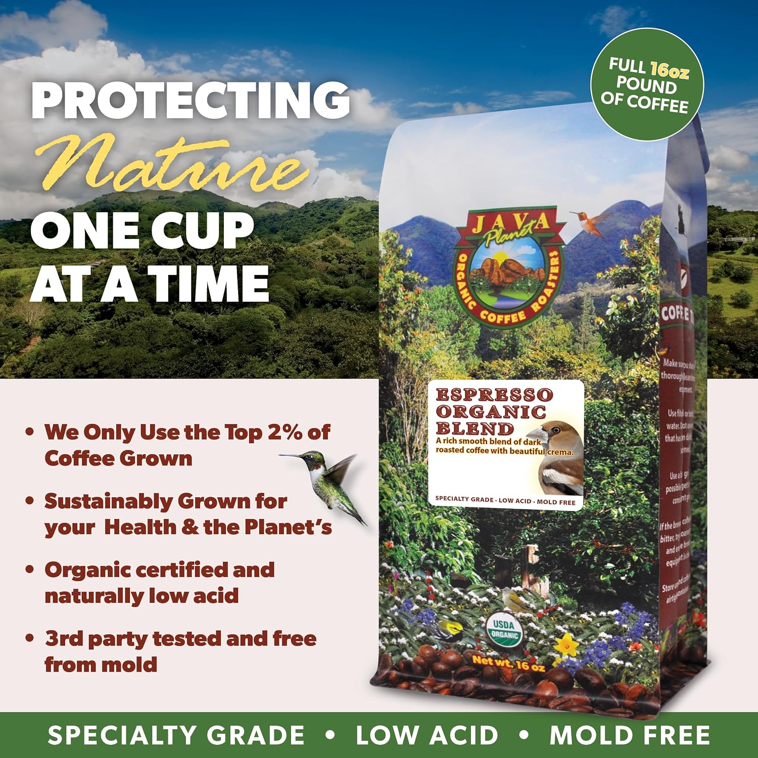 Java Planet Low Acid Organic Espresso Beans, Dark Roast Coffee Beans, 16 oz