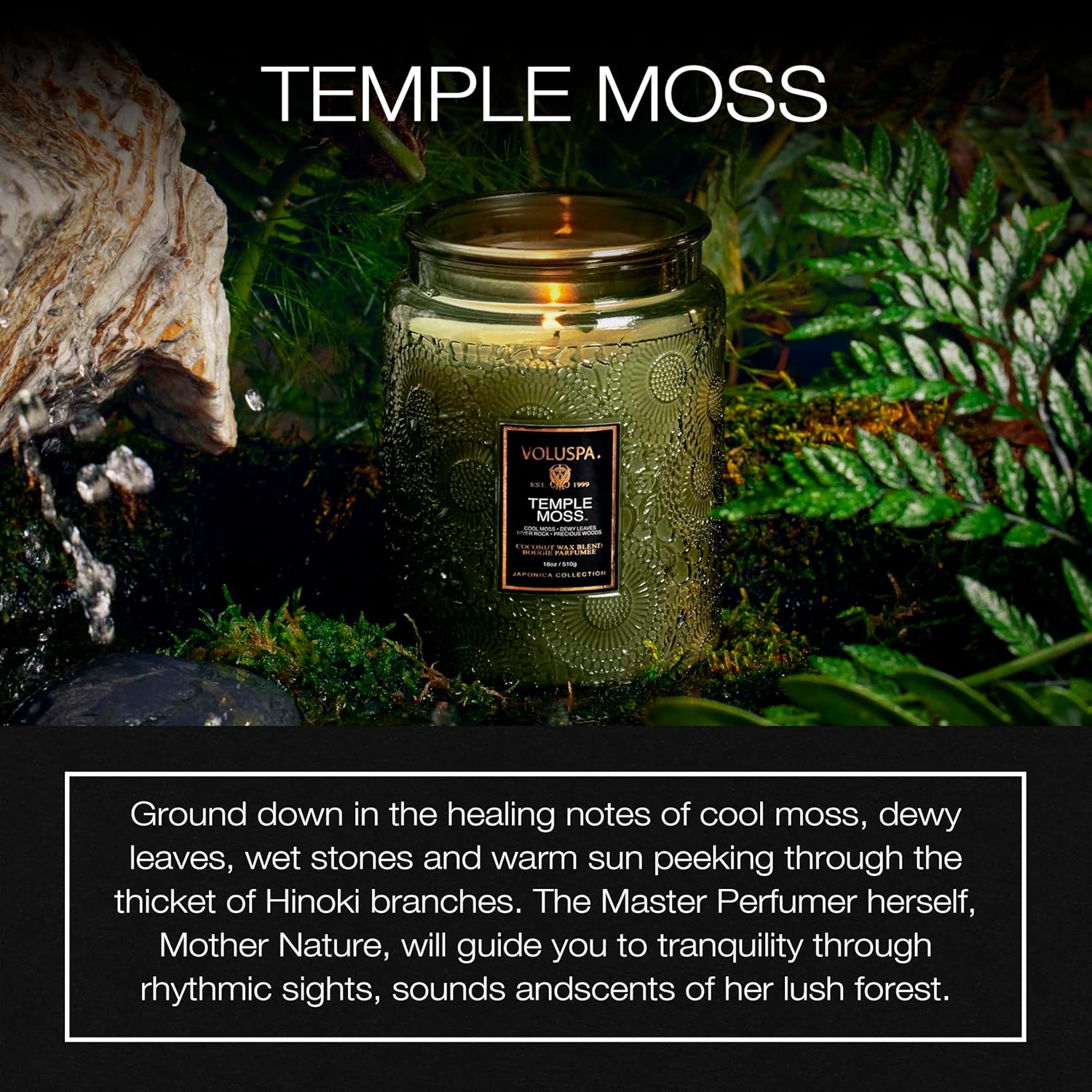 Voluspa French Cade Lavender Large Scented Candle Jar 18 Oz, 100 Hr Burn | Coconut Wax Blend in Decorative Glass, Clean Even Burn, USA Handcrafted Gift for Hosts, Fragrance Lovers & Relaxed Rooms