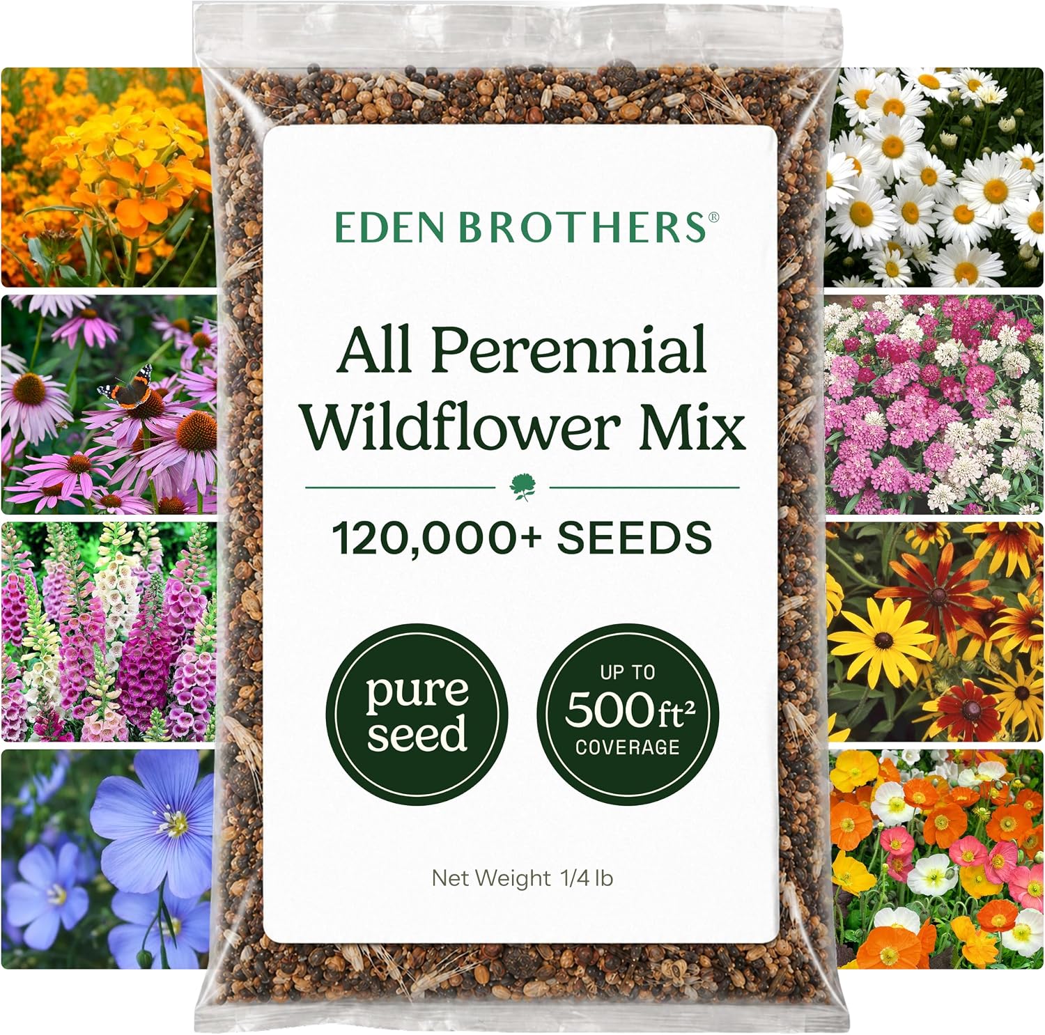 Eden Brothers All Perennial Wildflower Mixed Seeds for Planting, 1 lb, 480,000+ Seeds with Lupine, Shasta Daisy | Attracts Pollinators, Plant in Spring or Fall, Zones 3, 4, 5, 6, 7, 8, 9, 10