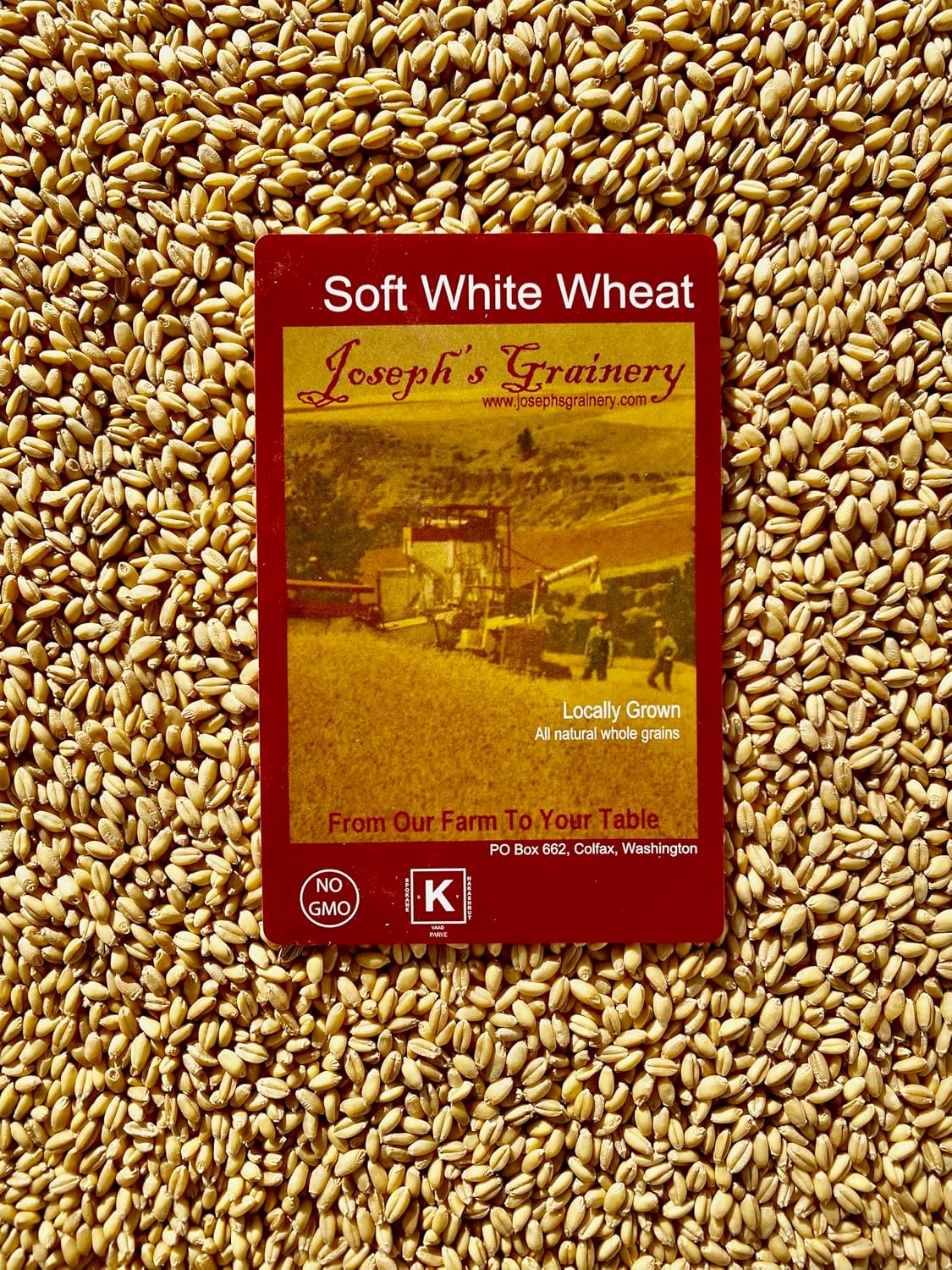Soft White Wheat 15 Lbs, Joseph's Grainery Wheat Berries, All Natural, Non-GMO, Kosher Certified