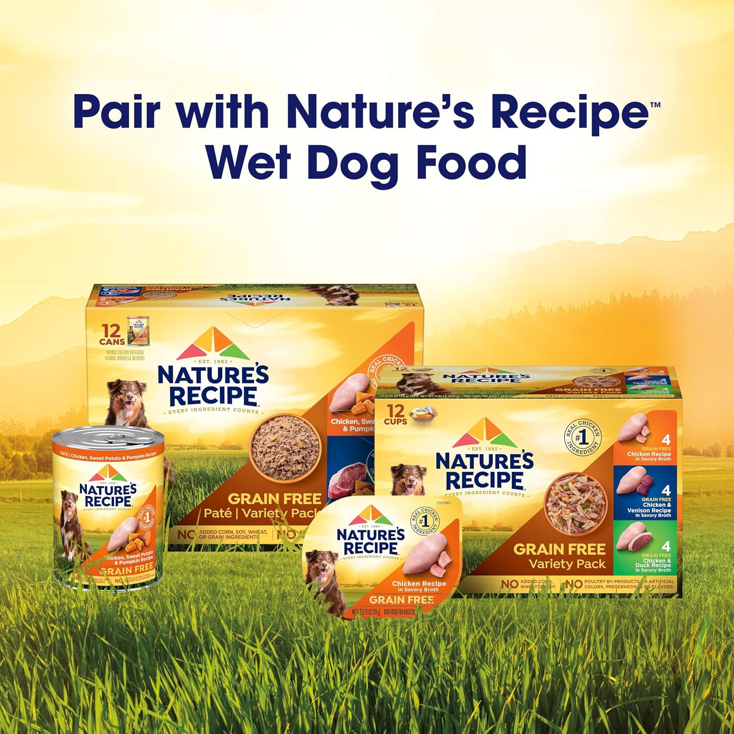 Nature's Recipe Grain Free Salmon Dry Dog Food, 24 lb. Bag | Fiber From Sweet Potatoes & Pumpkin Helps Support Digestion and Immune System Health