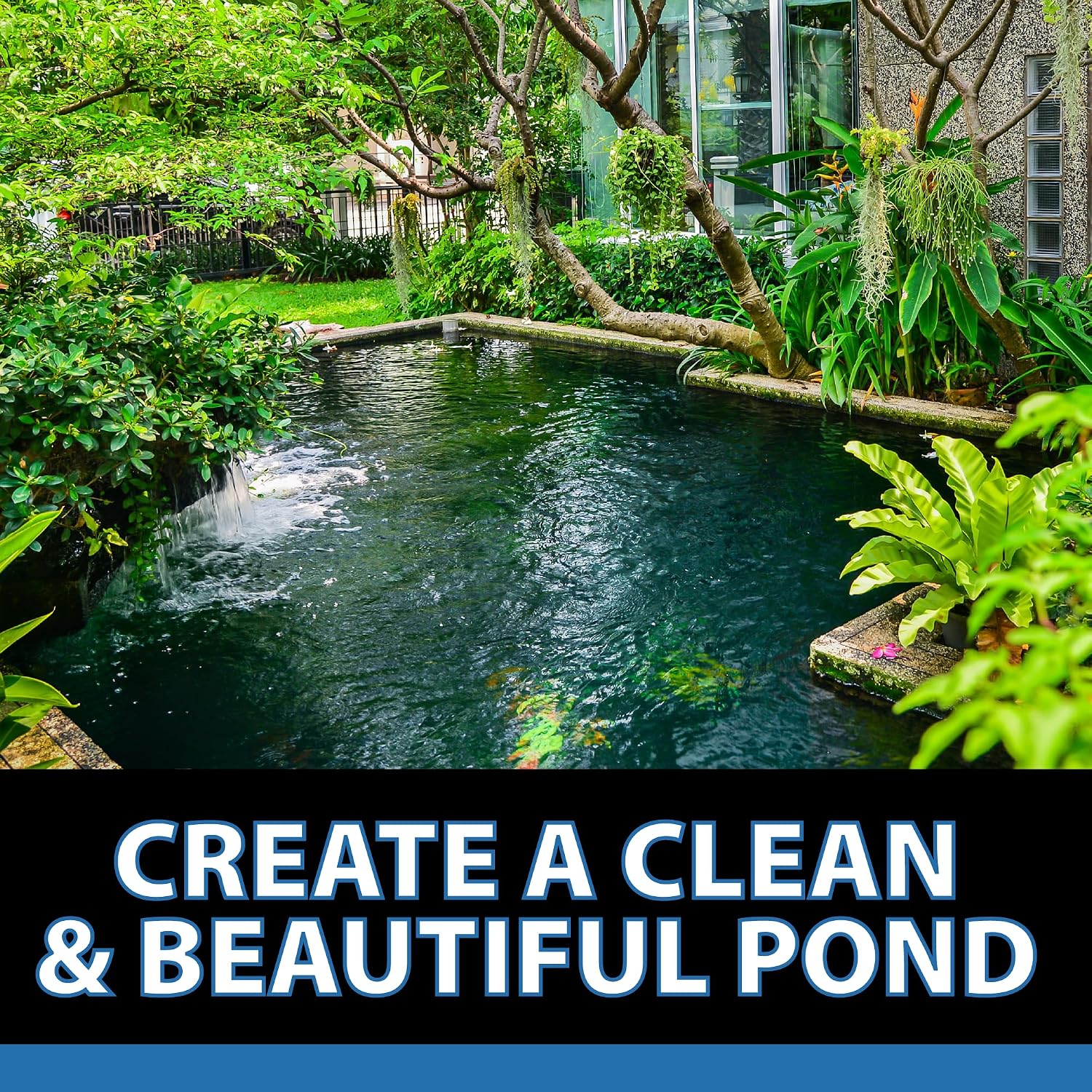 CrystalClear Algae-Off - Registered
