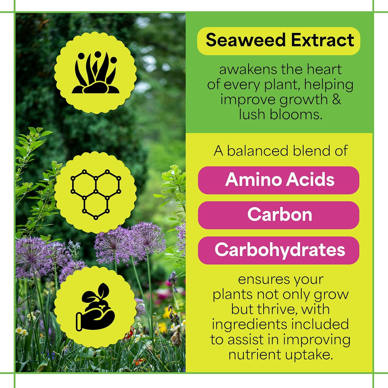 Grow More Sea Grow Flower & Bloom (4-26-26) - 1.5lbs of Seaweed Fertilizer for Plants - Water Soluble Fertilizer for Vegetables & Fruits - High Phosphorus Flower Food w/Seaweed Extract for Plants