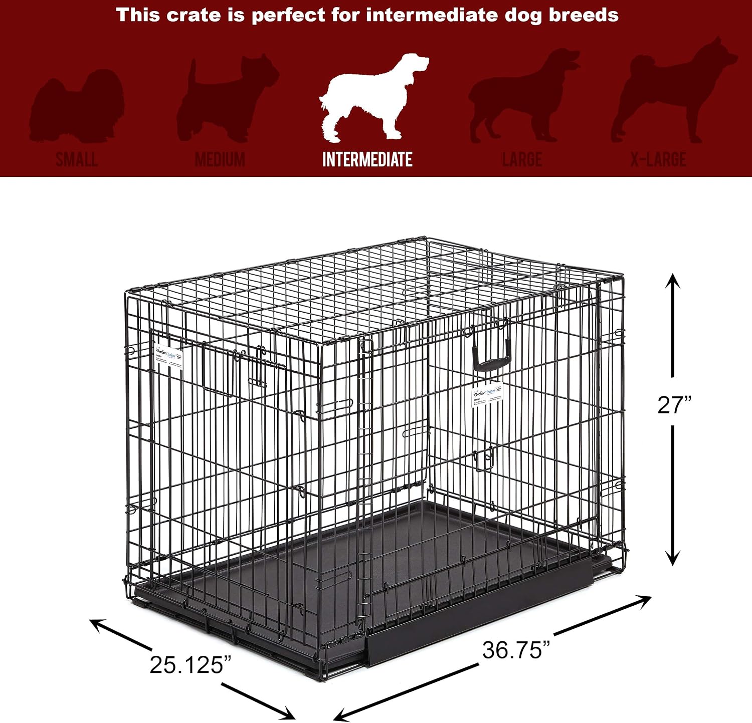 MidWest Homes for Pets Medium Ovation Double Door 30-inch Folding Metal Dog Crate, Front and Up & Away Side Doors, Space-Saving Design