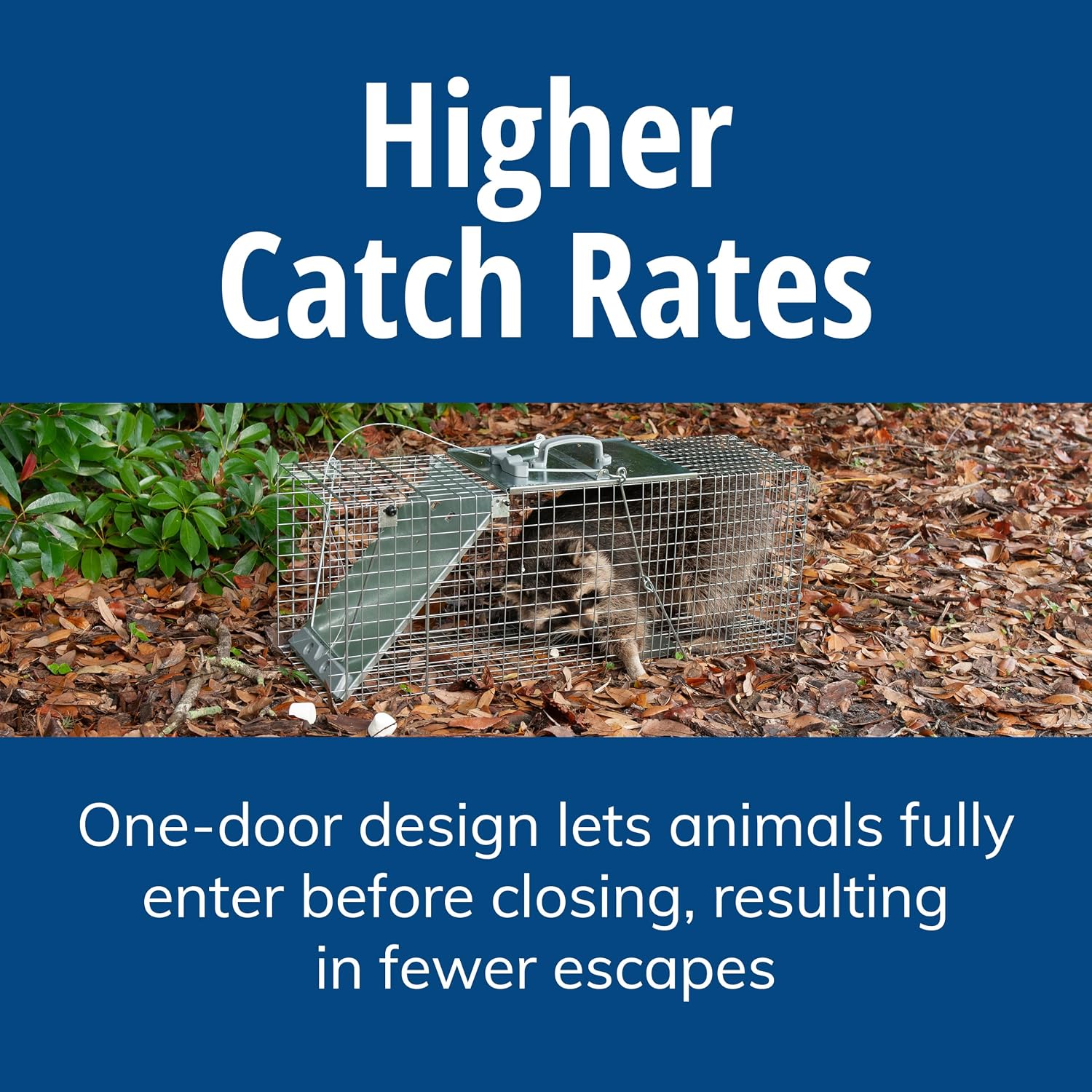 Havahart 1085 Large 1-Door Easy Set Humane Live Animal Trap for Armadillos, Cats, Groundhogs, Muskrats, Opossums, Raccoons