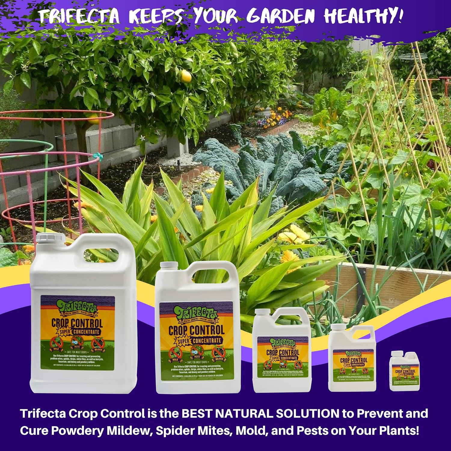 Trifecta Crop Control Super Concentrate | 4 oz | All-in-One Pesticide, Fungicide, Miticide And Insecticide | For Spider Mites, Mildew, Mold And Botrytis